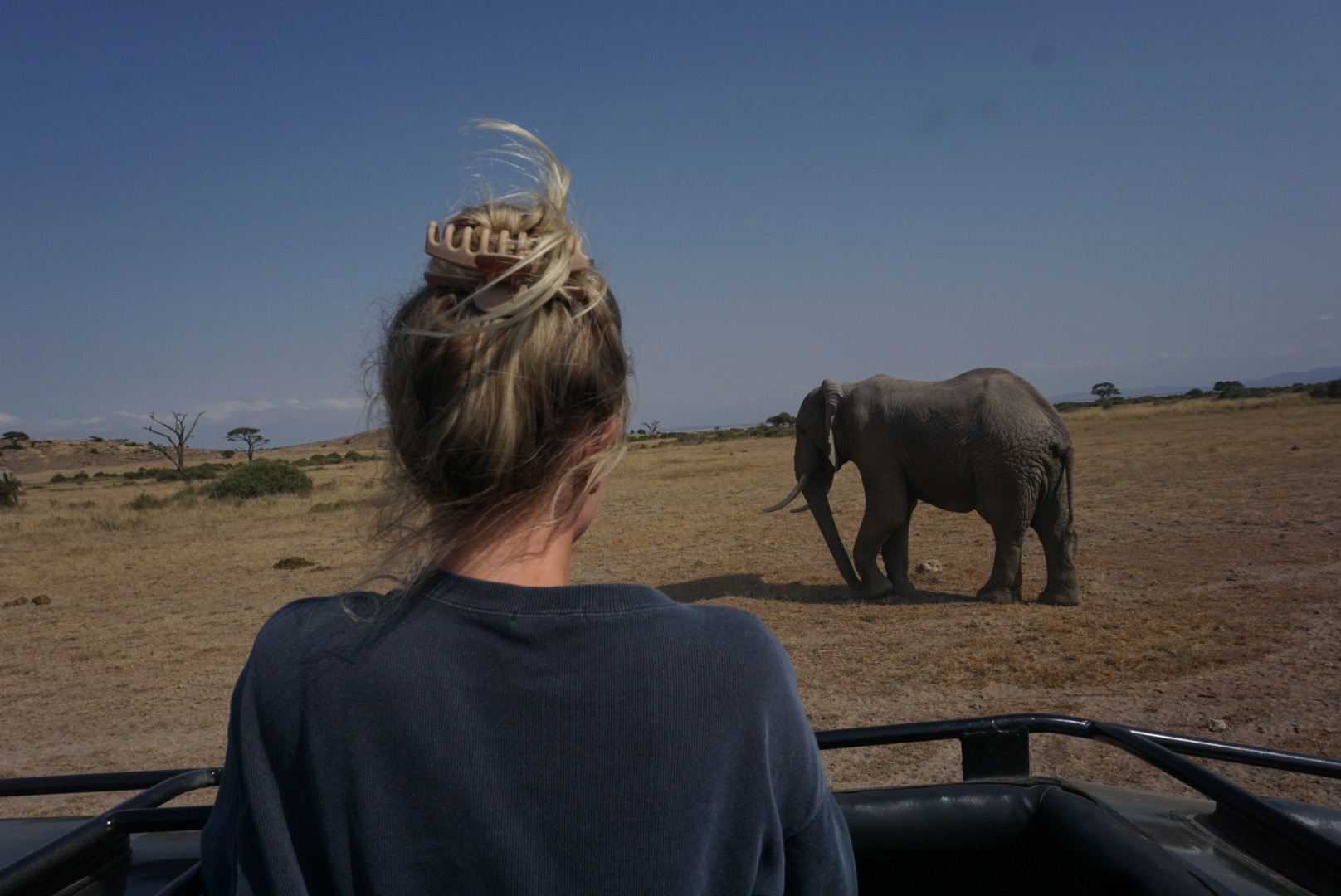 Makenna in an open-top jeep looking at an elephant in the desert.