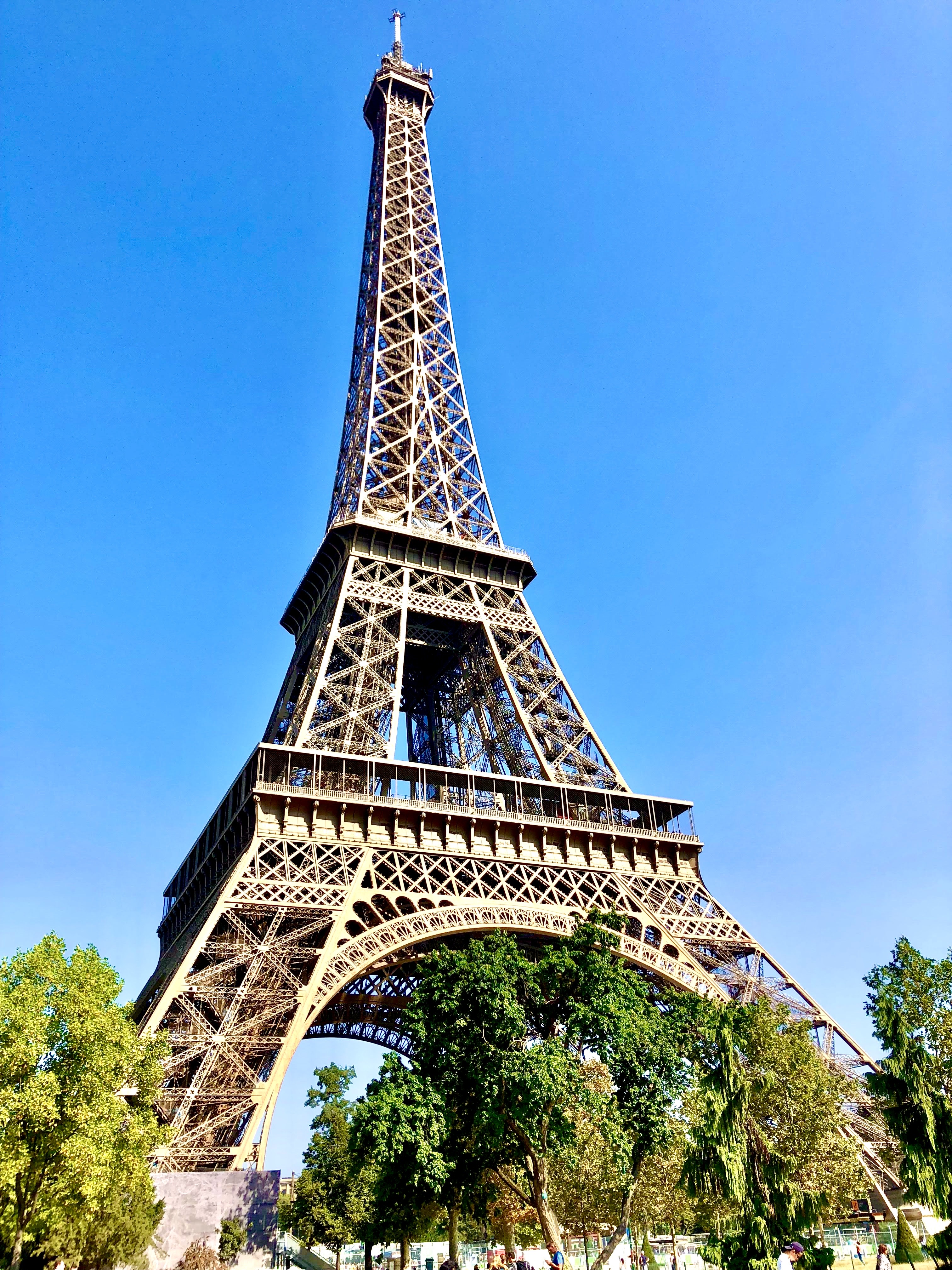 A beautiful view of the Eiffel Tower with foliage in the distance on a sunny day.