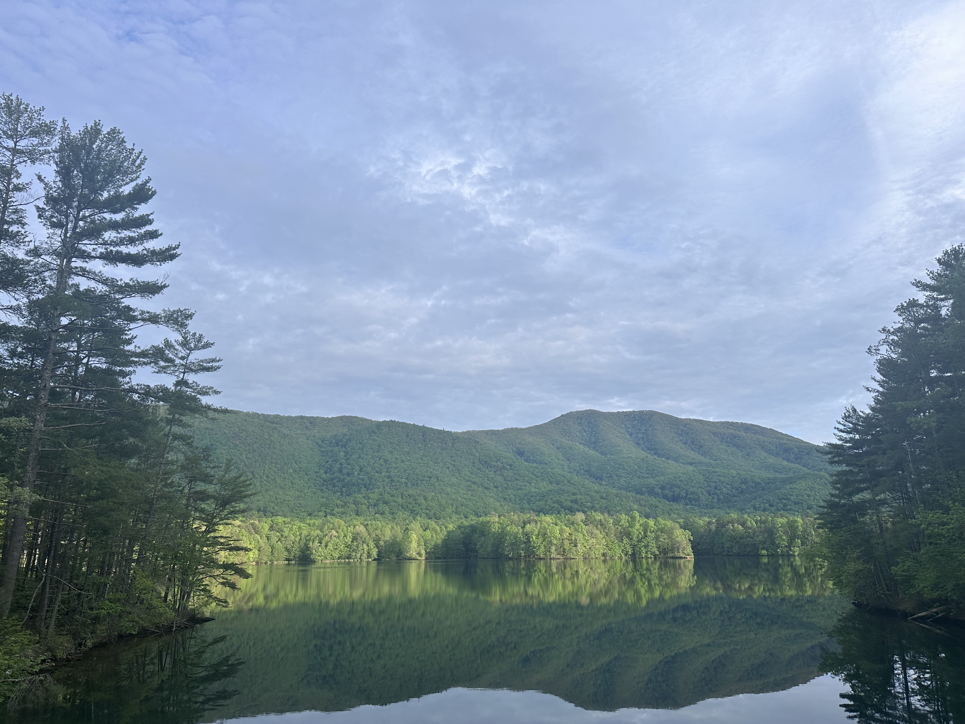A view of a lake with a field of foliage and mountains in the distance on a semi cloudy day.