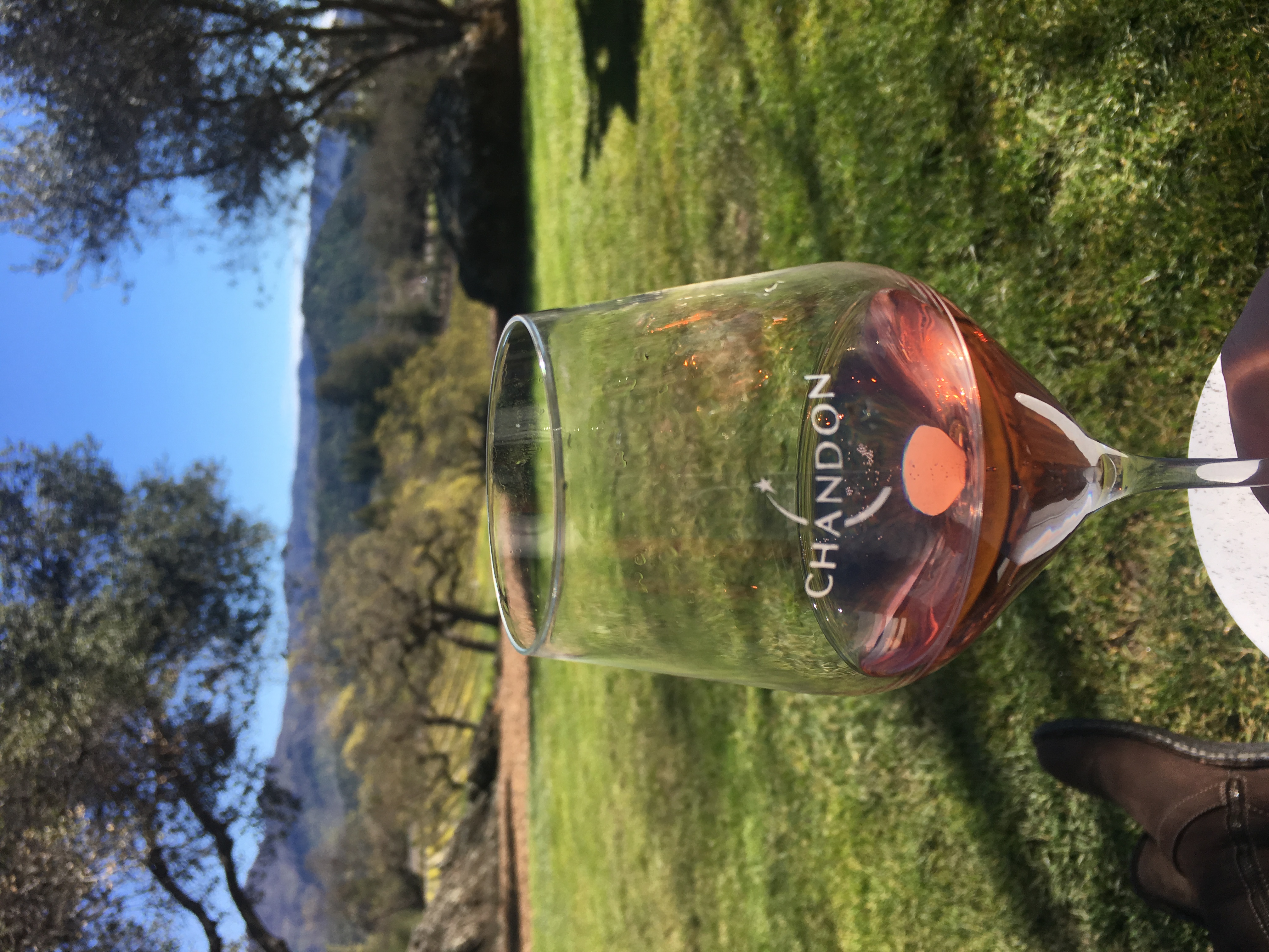 A glass of wine with a field of grass and trees in the distance on a sunny day.