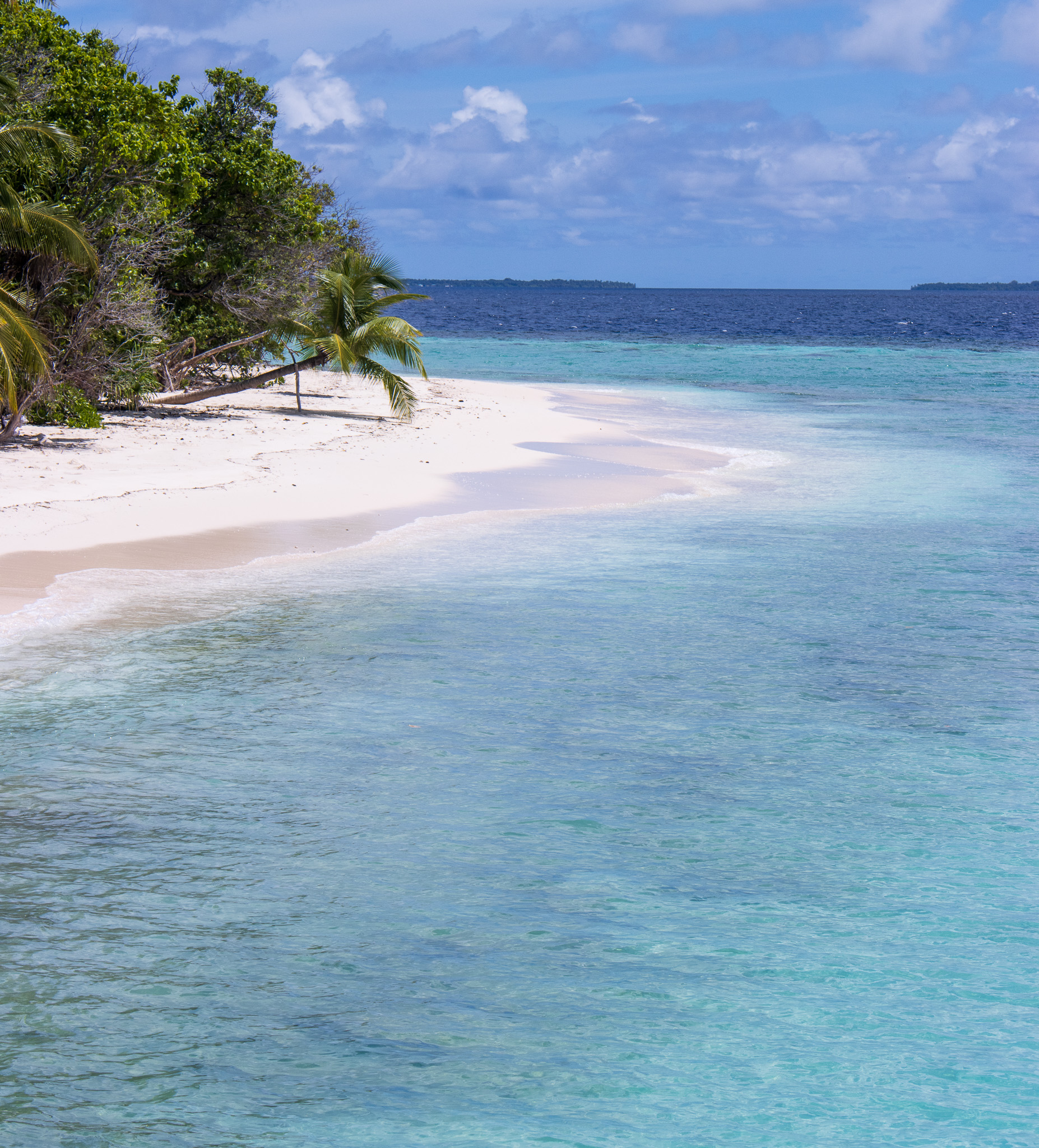 Beautiful view of a coastline with an empty white sand beach and light blue waters