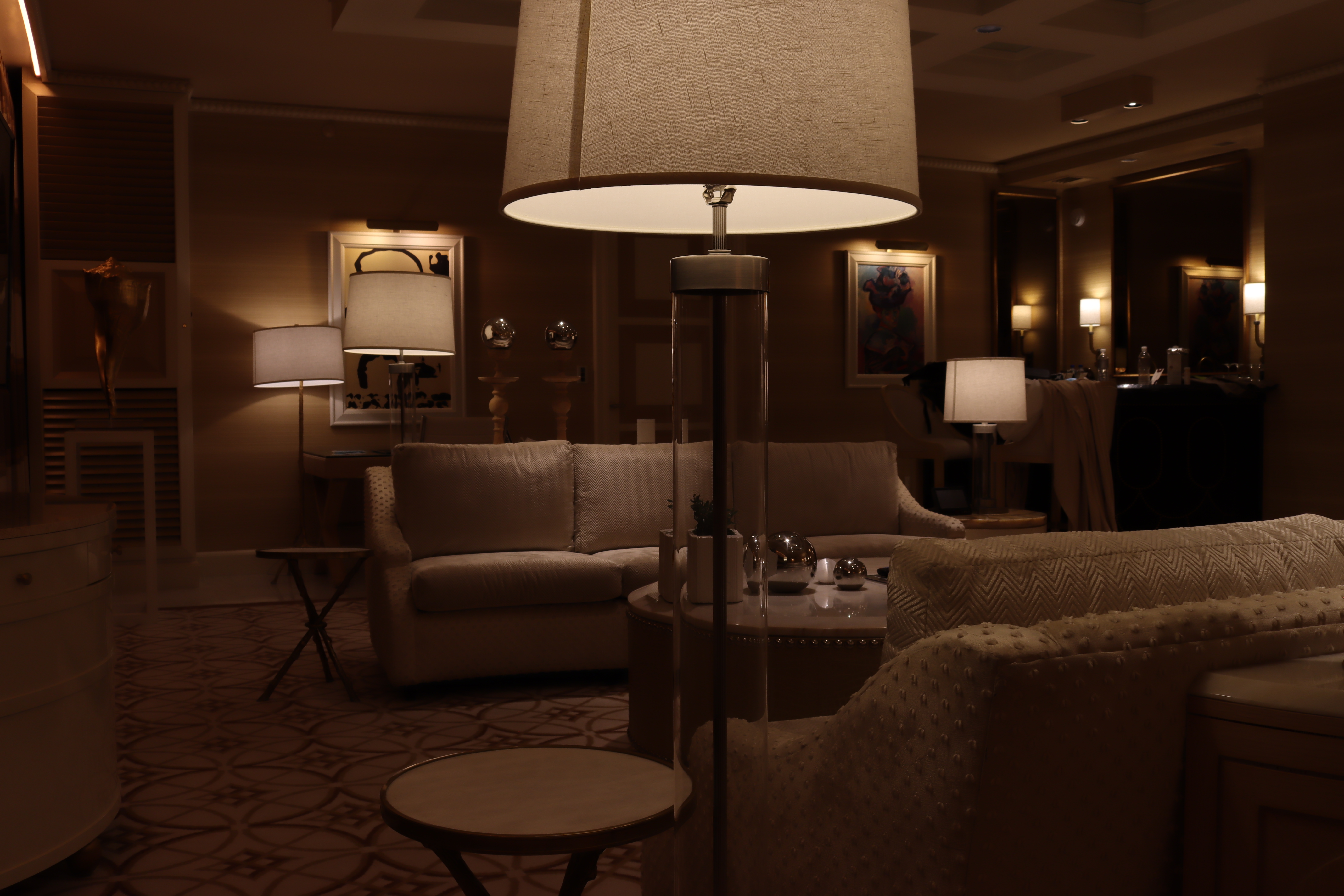 View of a sitting area with moody lighting and two couches facing one another