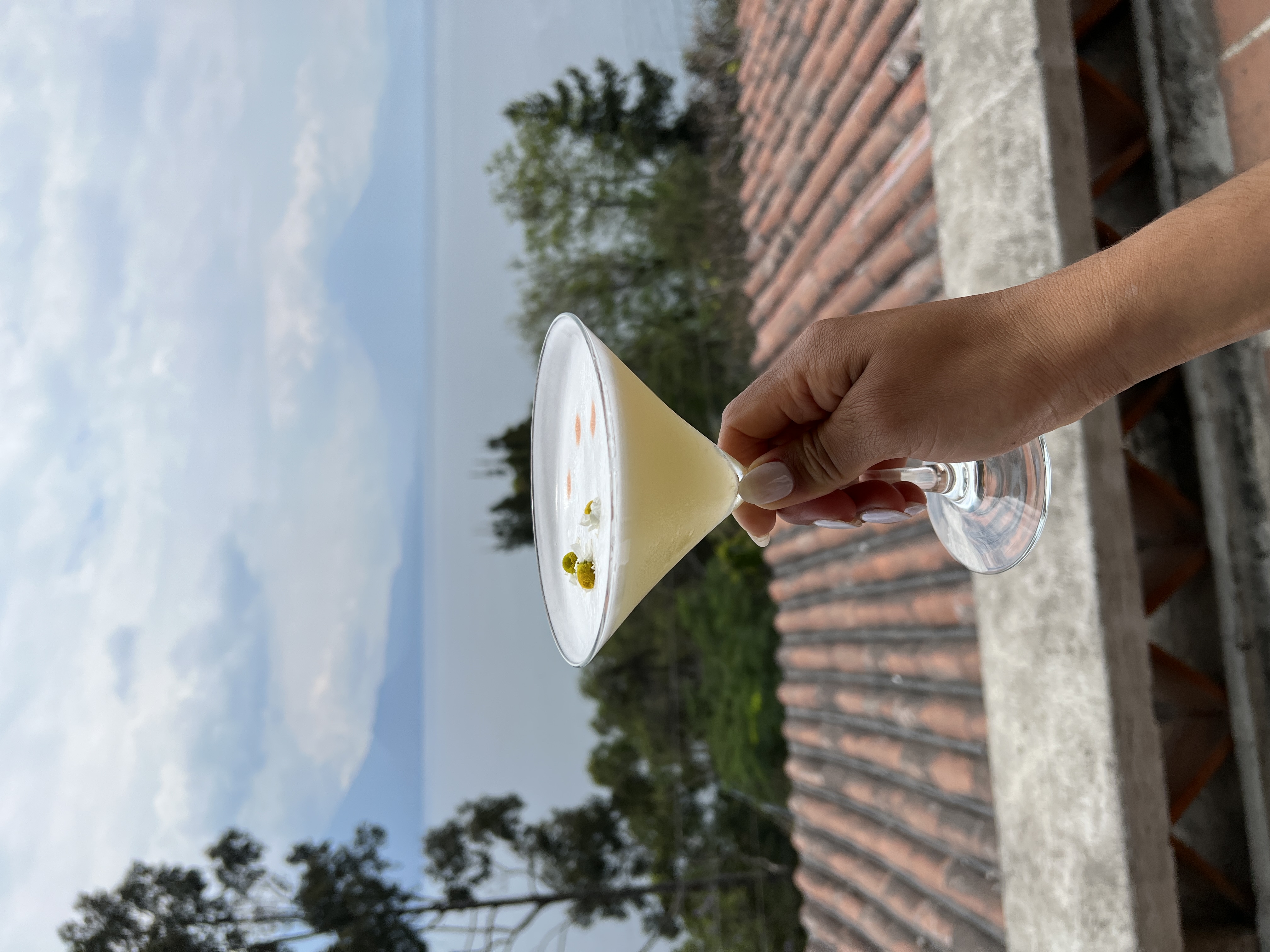 Advisor holding a cocktail with a beautiful view of a late and foliage in the distance during the daytime.