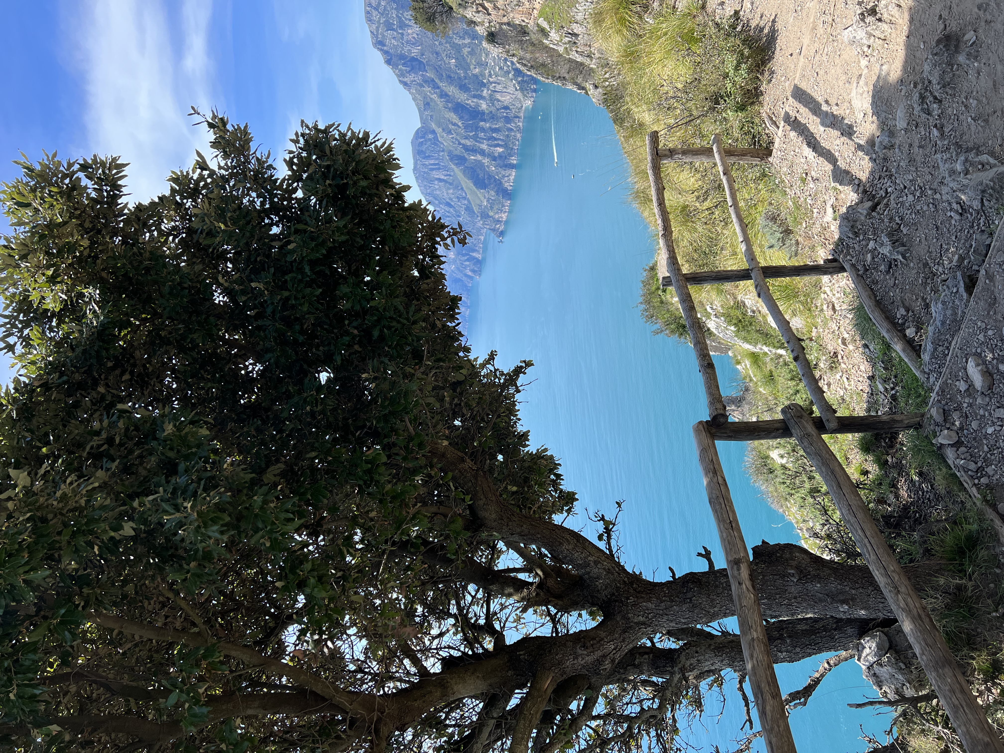 A view of a hiking path with treed and the ocean in the distance on a sunny day.