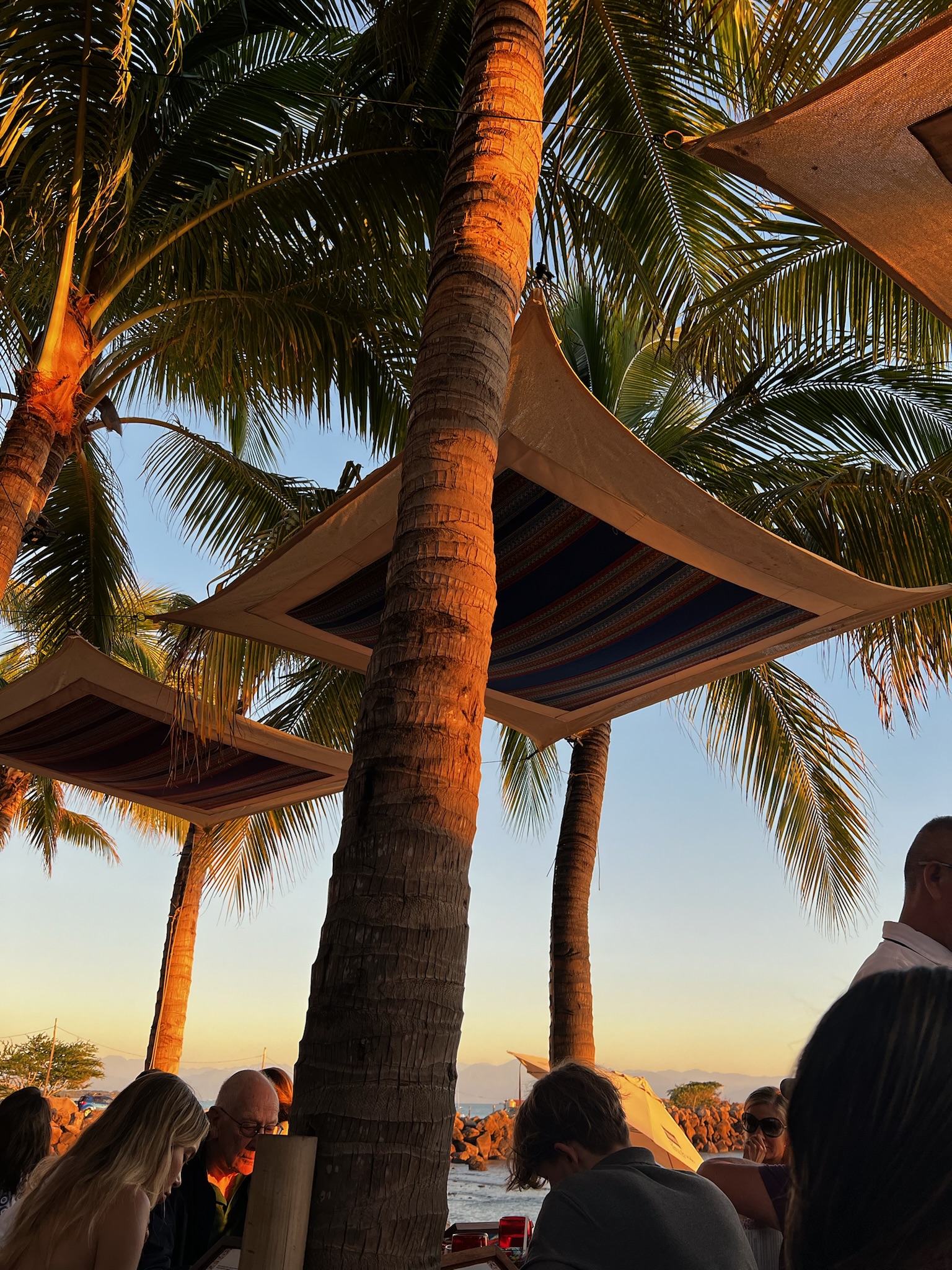 A view of palm trees on a sunny day near a beach with a group of people in the distance.