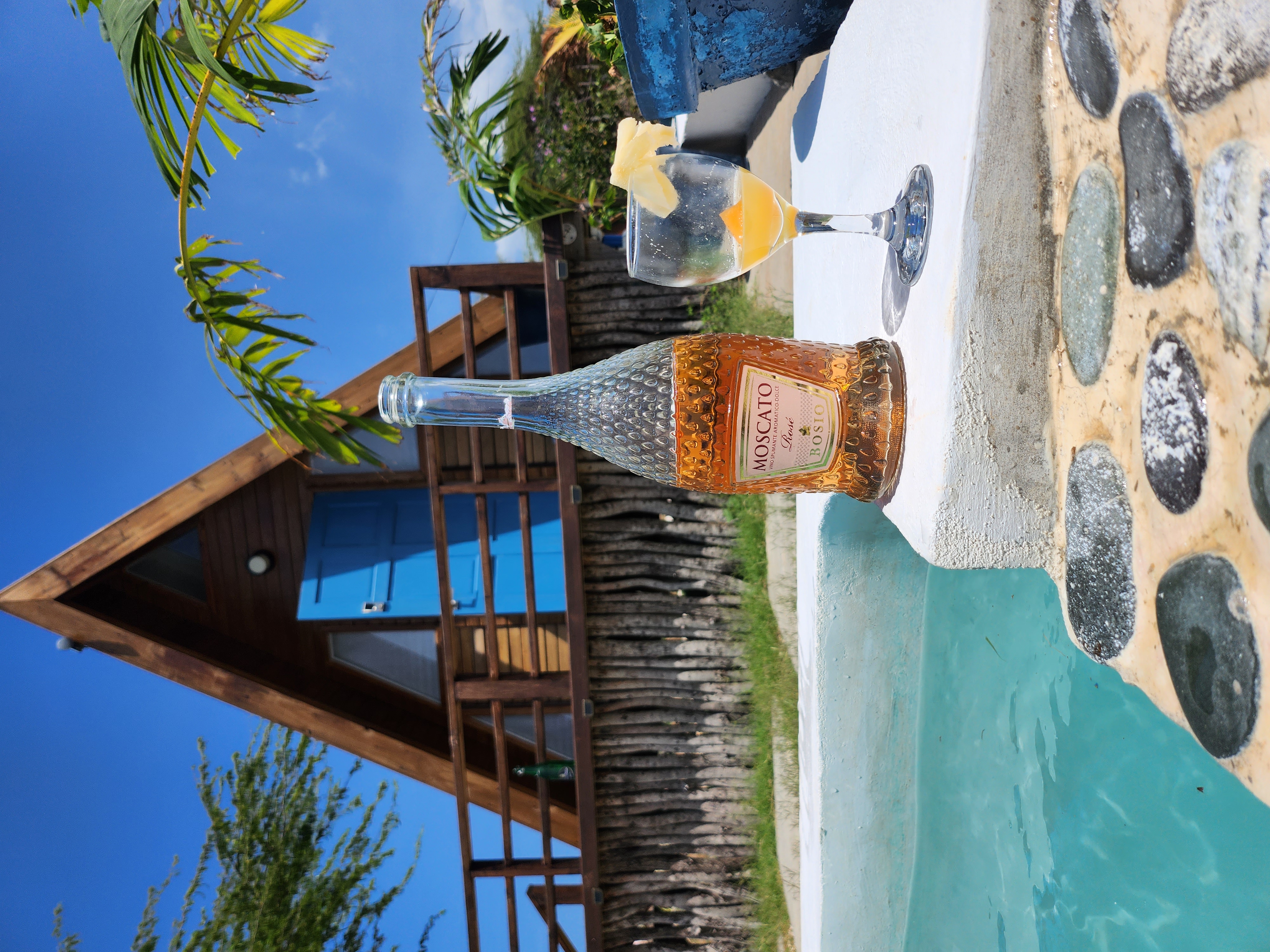A bottle of wine and a glass sitting on a table with a pool in the distance on a sunny day.