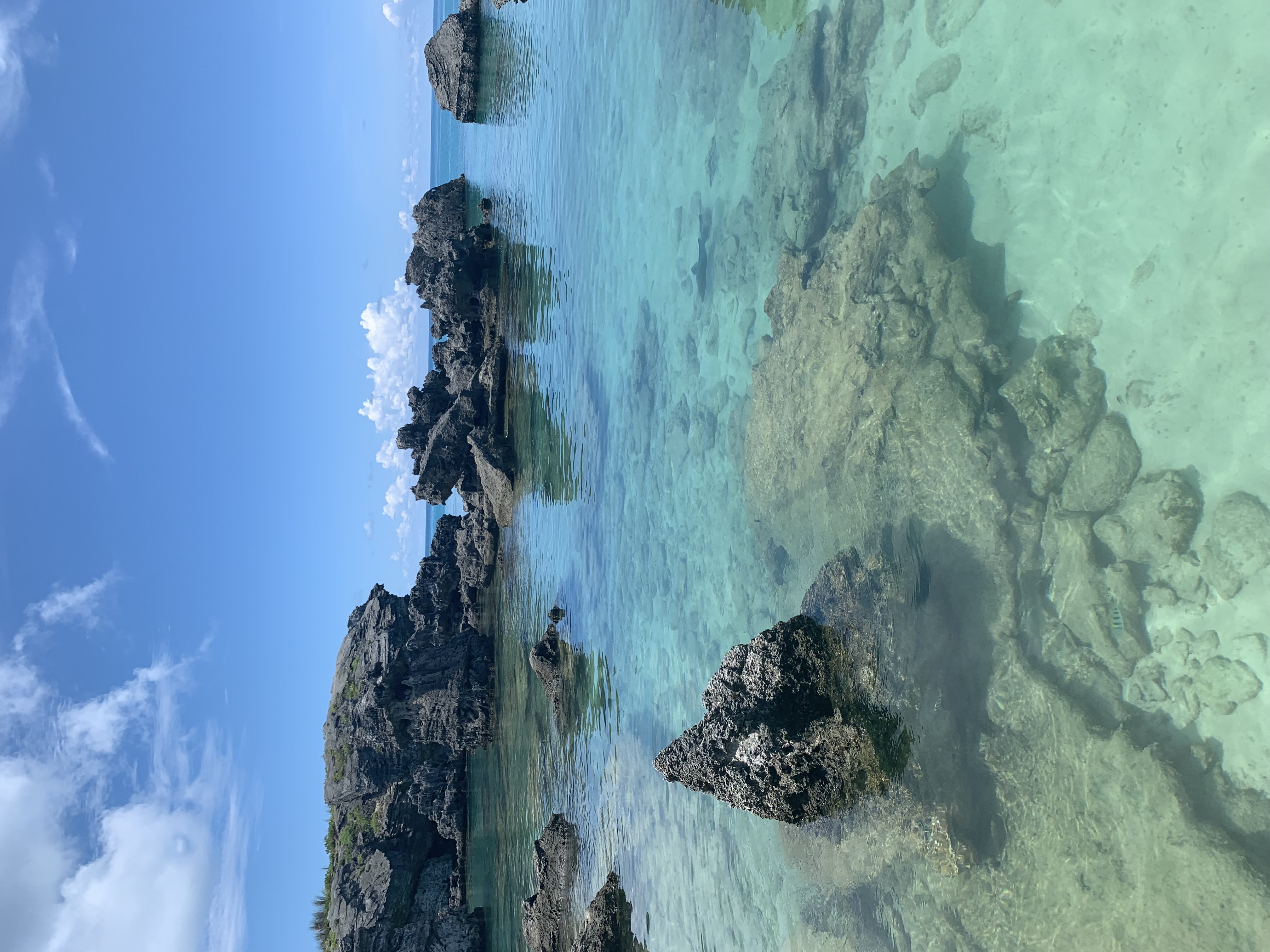 View of a beautiful clear ocean with several underwater rock formations on a sunny day