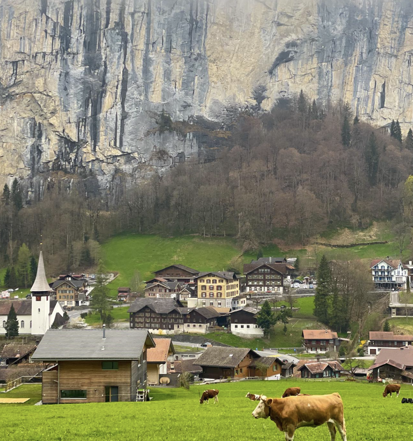 View of a brown cow standing in a green field with small buildings of a village and a steep mountain visible behind