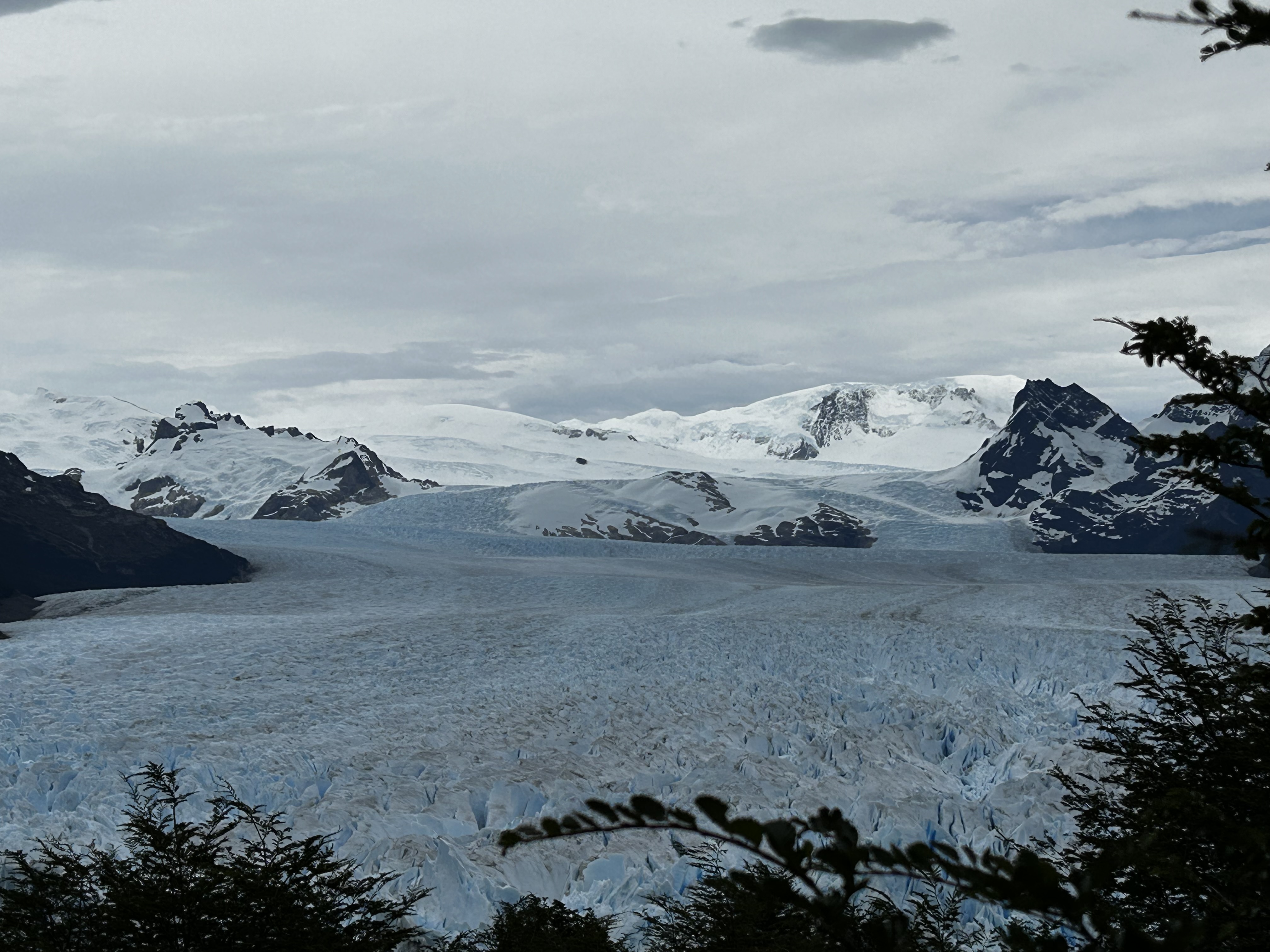 Beautiful view of a snowy landscape with pine trees with mountains visible on the horizon under cloudy skies