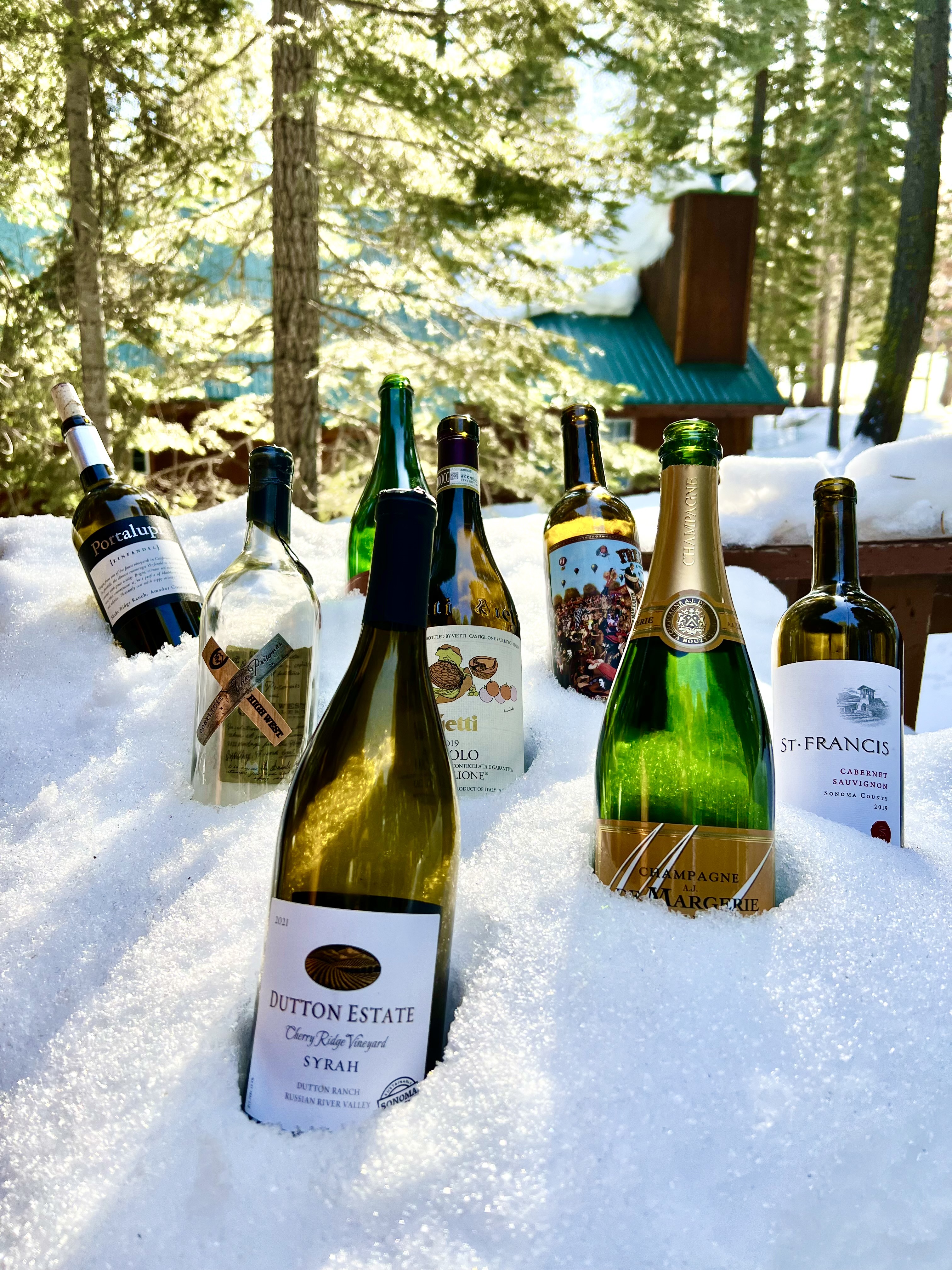 View of several wine and champagne bottles being kept cold in the snow with pine trees visible behind them