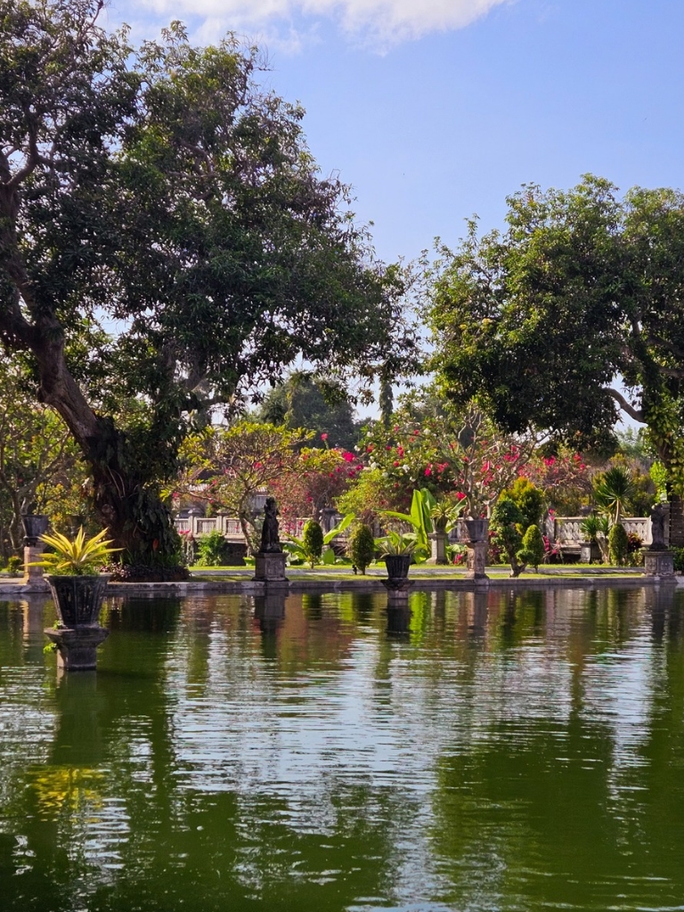 View of a beautiful lake surrounded by plants and trees on a sunny day