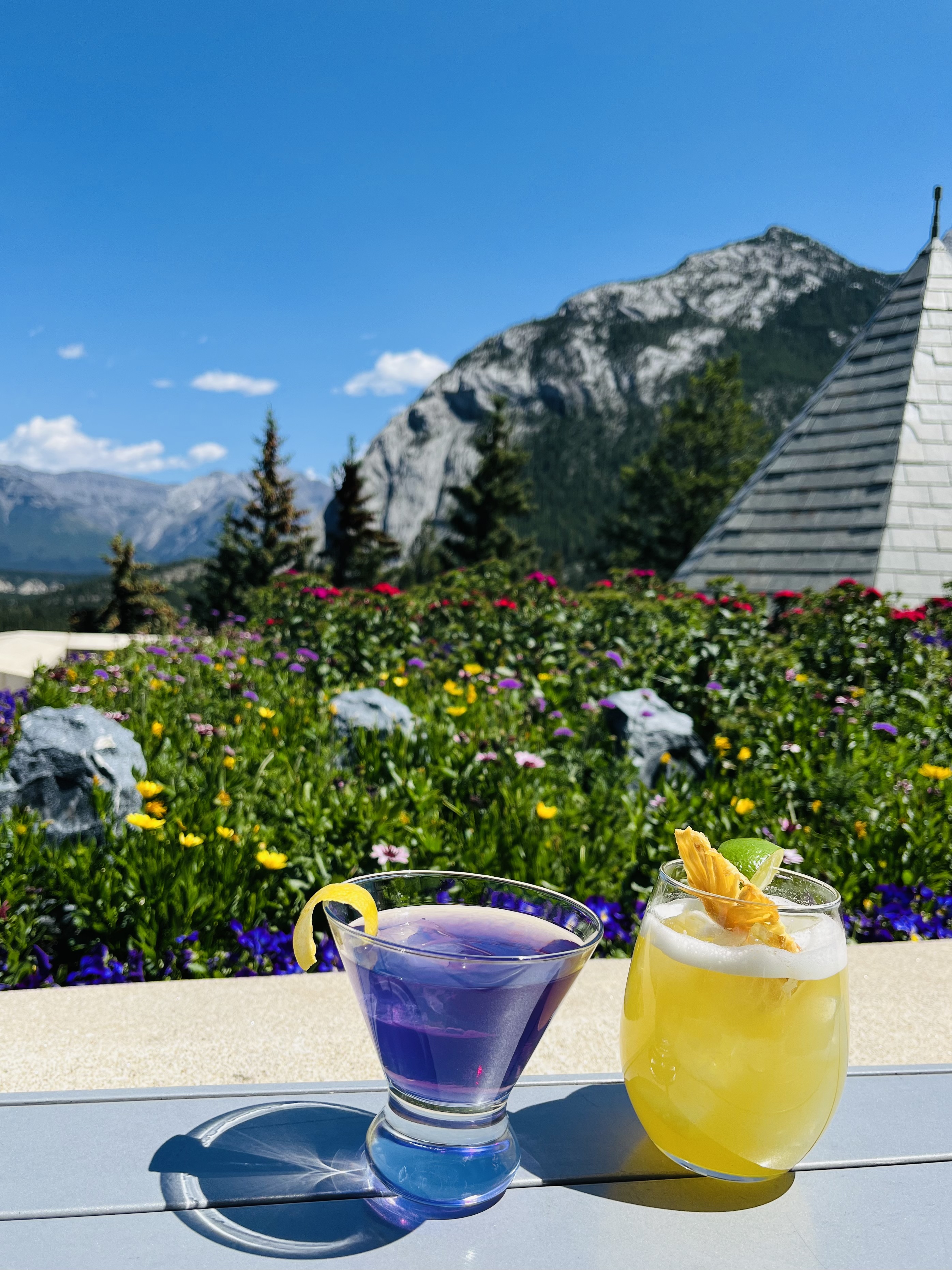 Drinks overlooking scenery in the day.