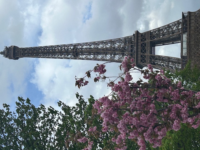 The Eiffel Tower in Paris, surrounded by pink flowers.