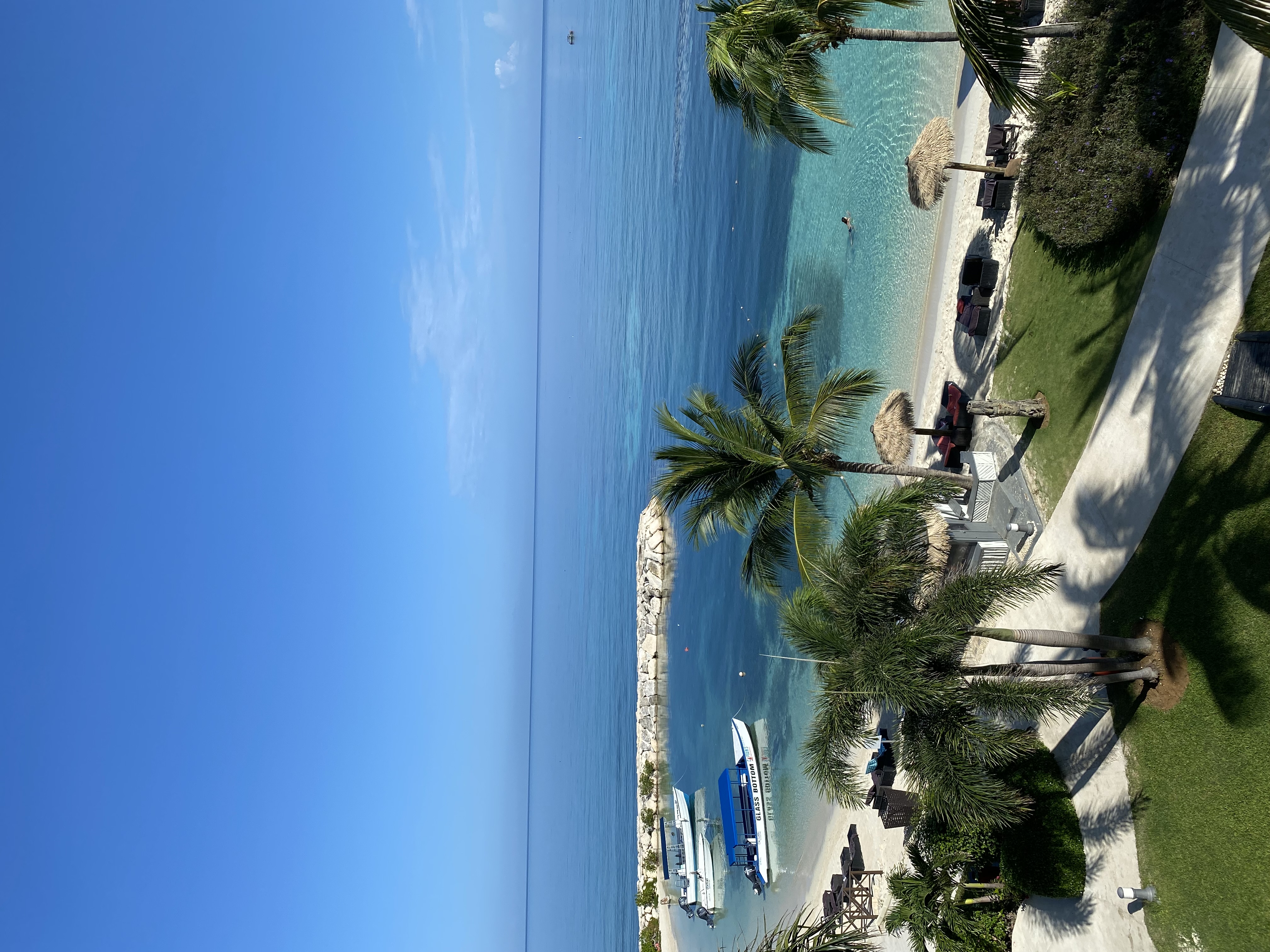 Blue skies overlooking palm trees and the beach.