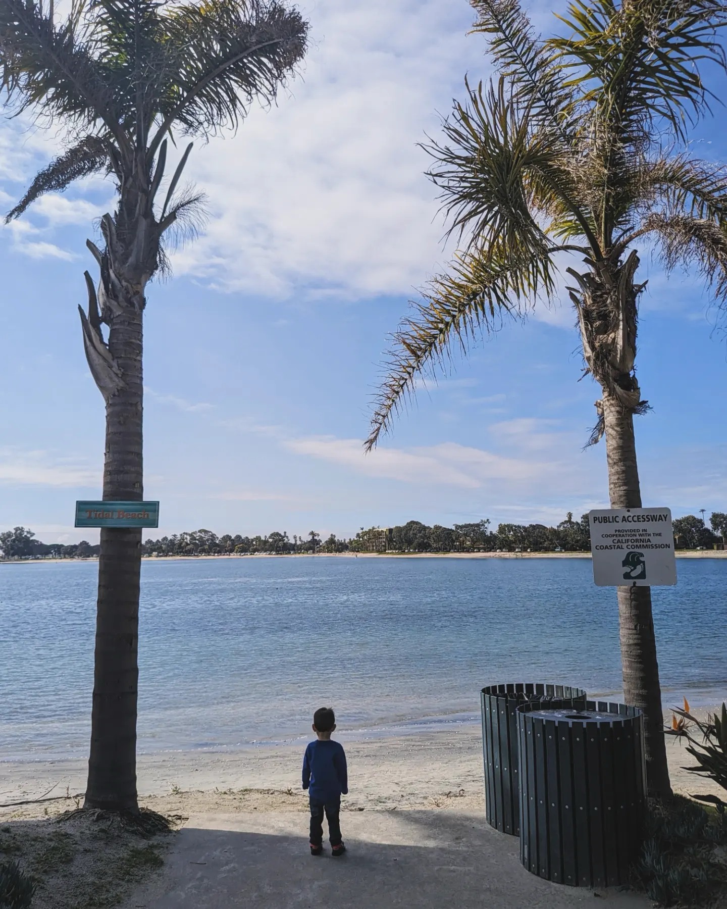 View of a young boy standing in between two palm trees on the beach facing a calm sea
