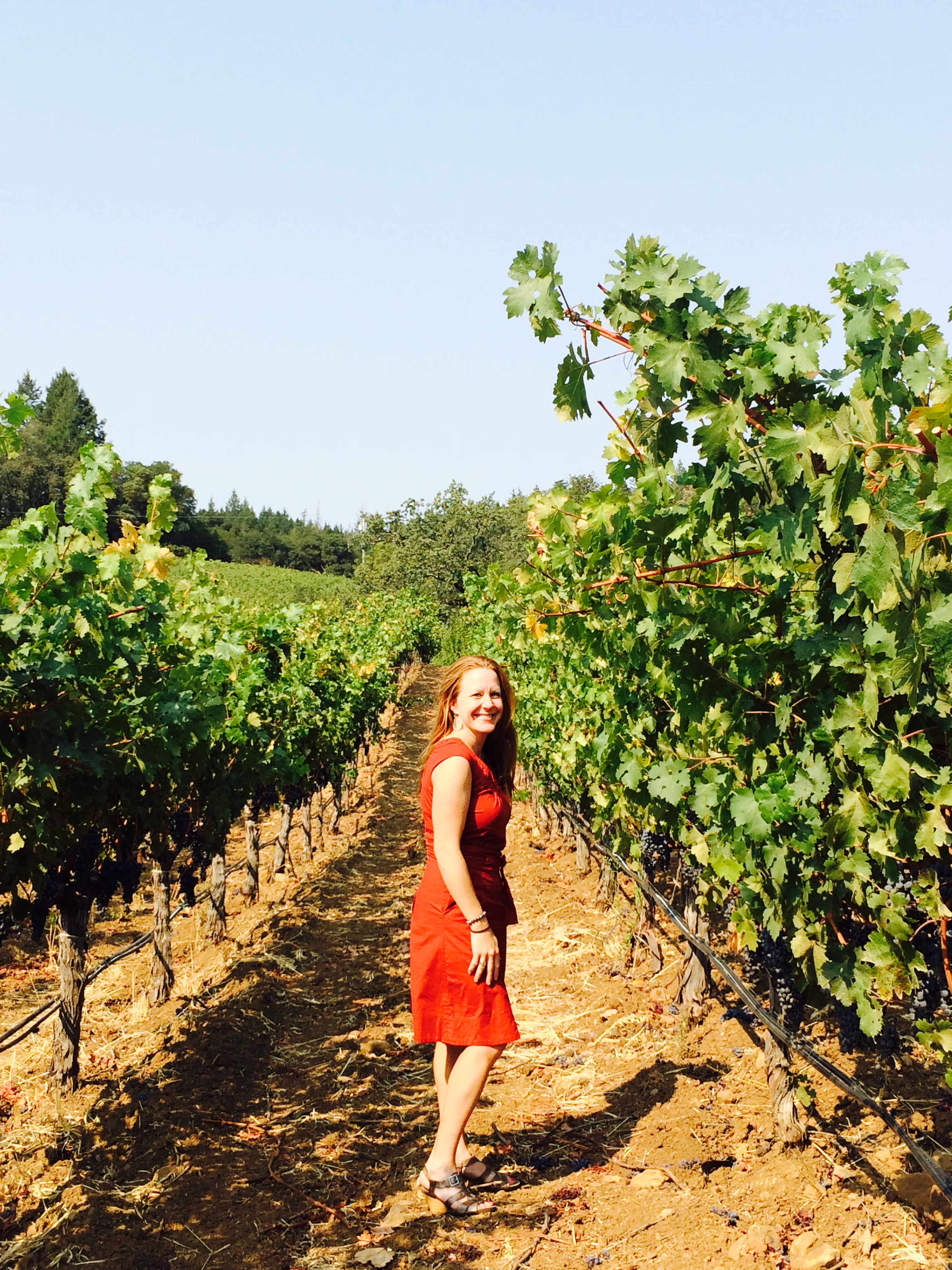 Advisor - Jodi Sundermeier