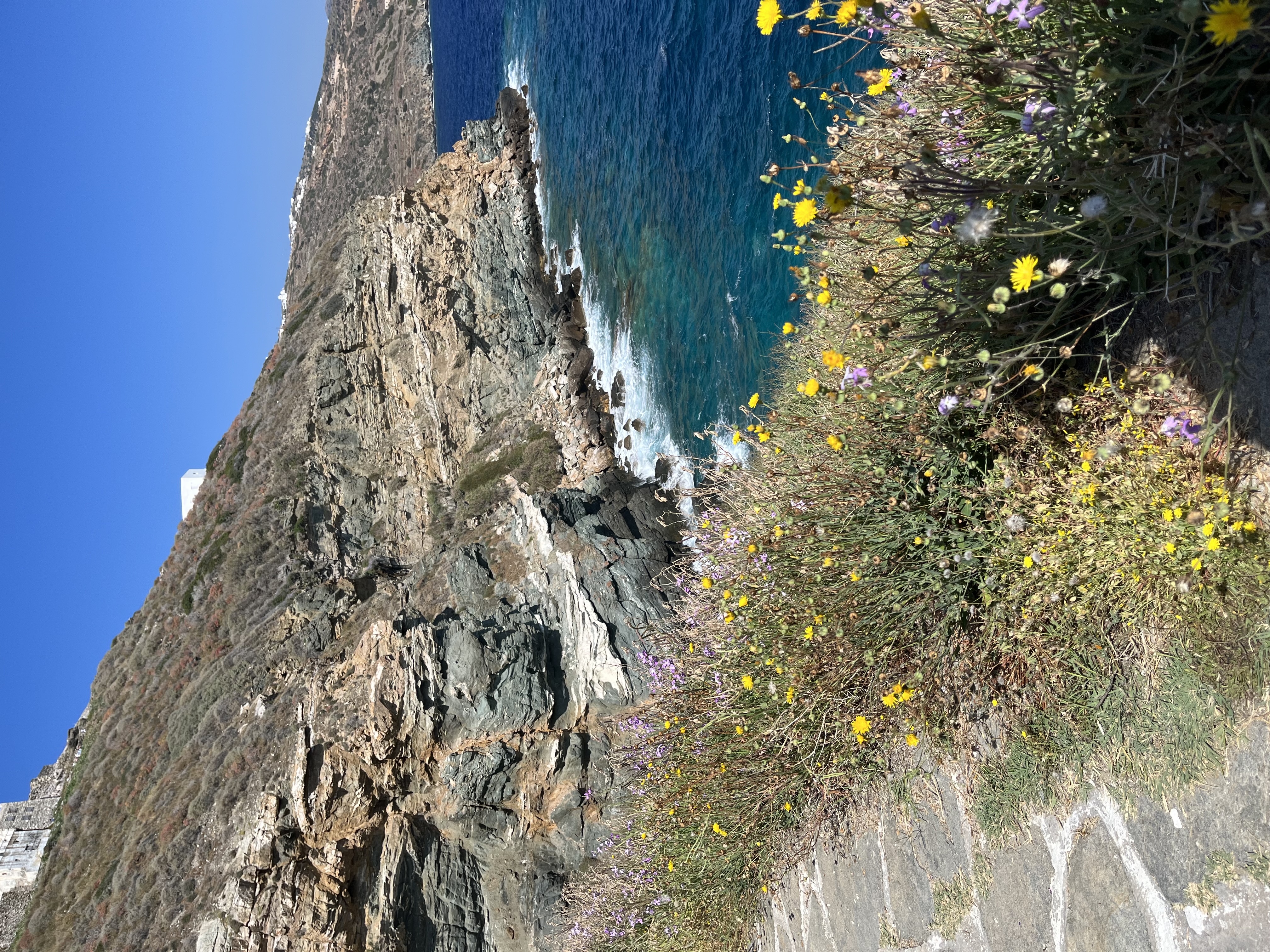View of water and flowers surrounding a mountain during the daytime.