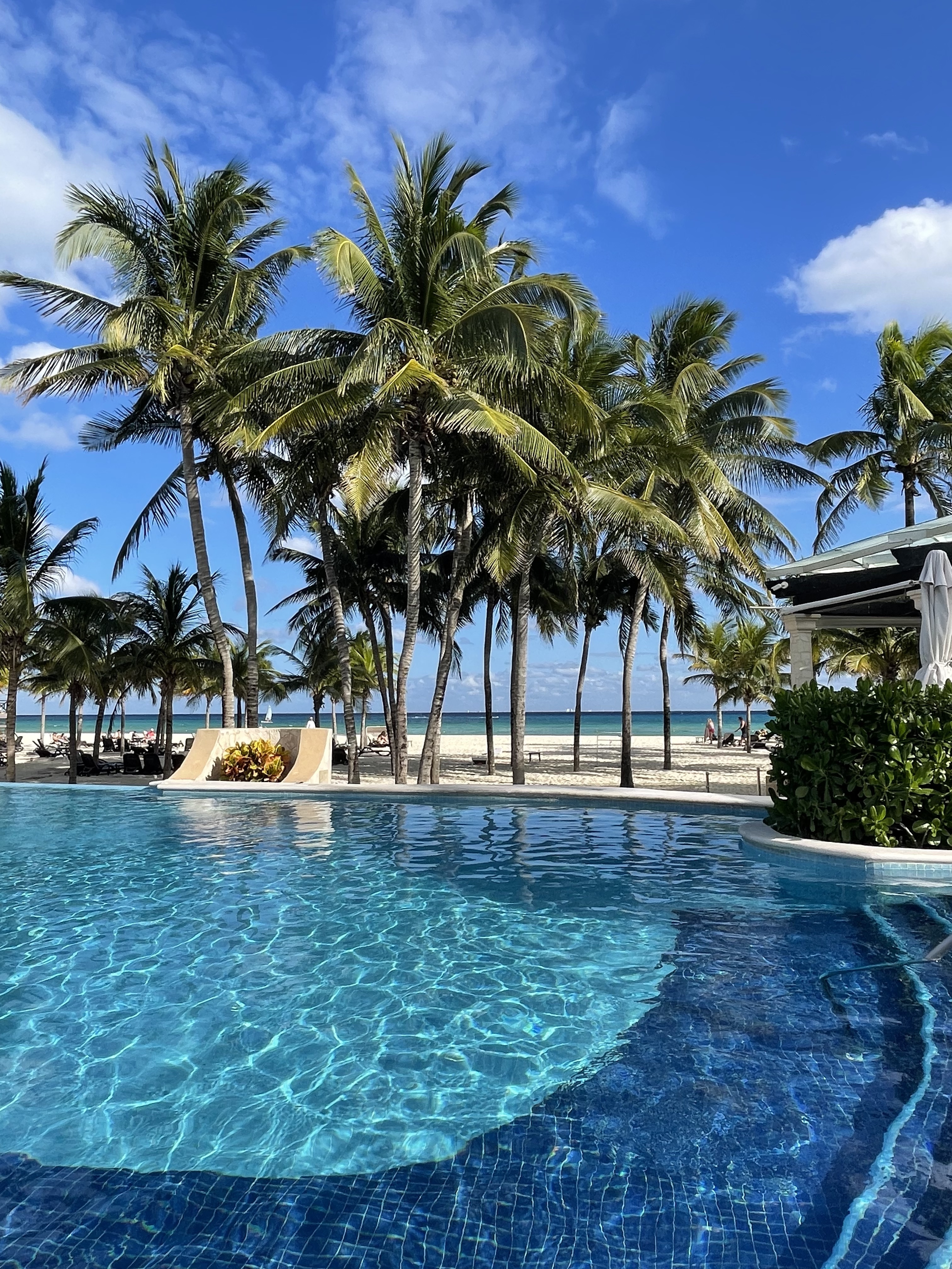 View of a beautiful resort pool surrounded by palm trees and next to the beach in Bimini, Bahamas
