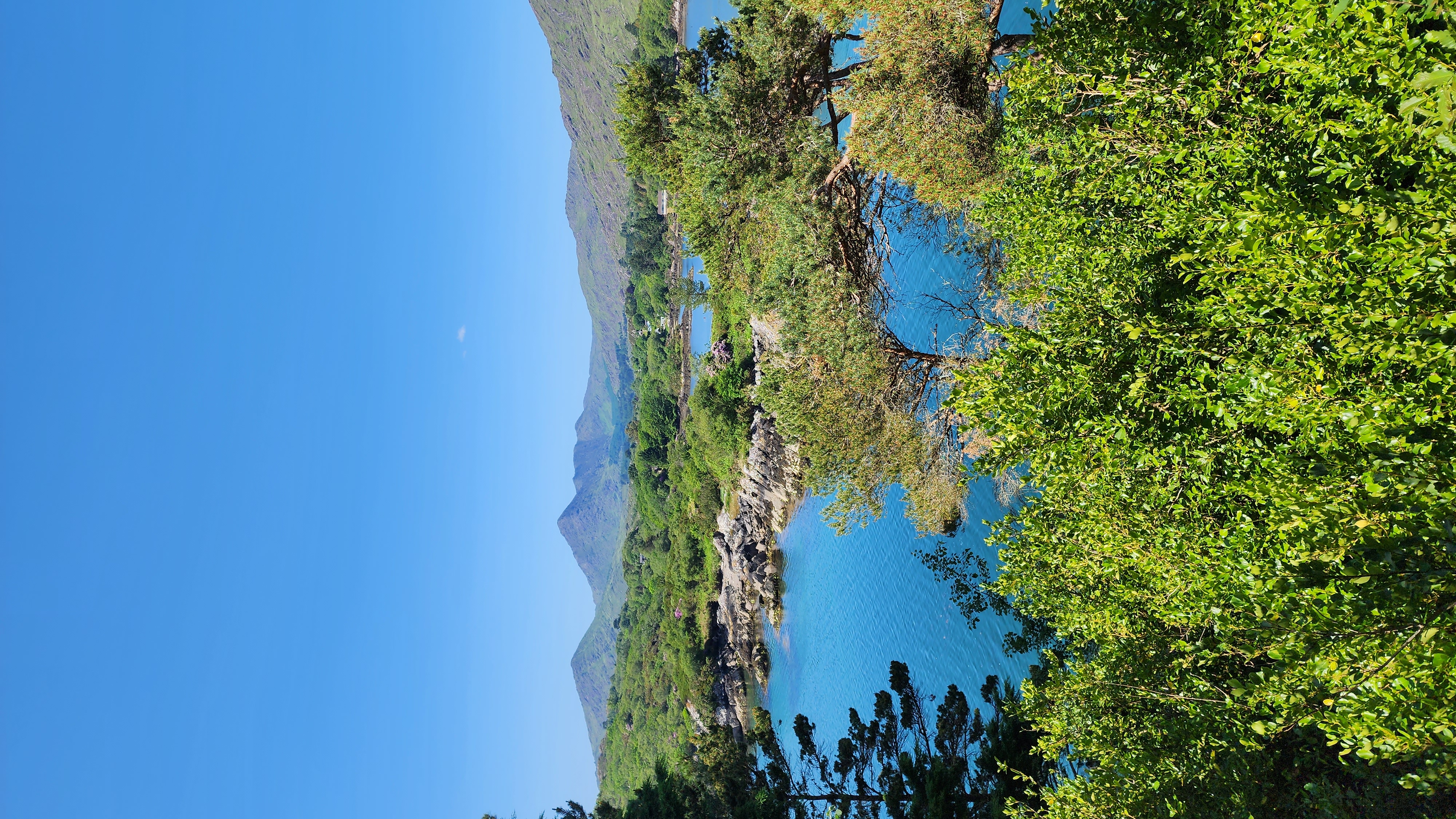 Beautiful view of a lake surrounded by trees and mountains in the distance on a sunny day