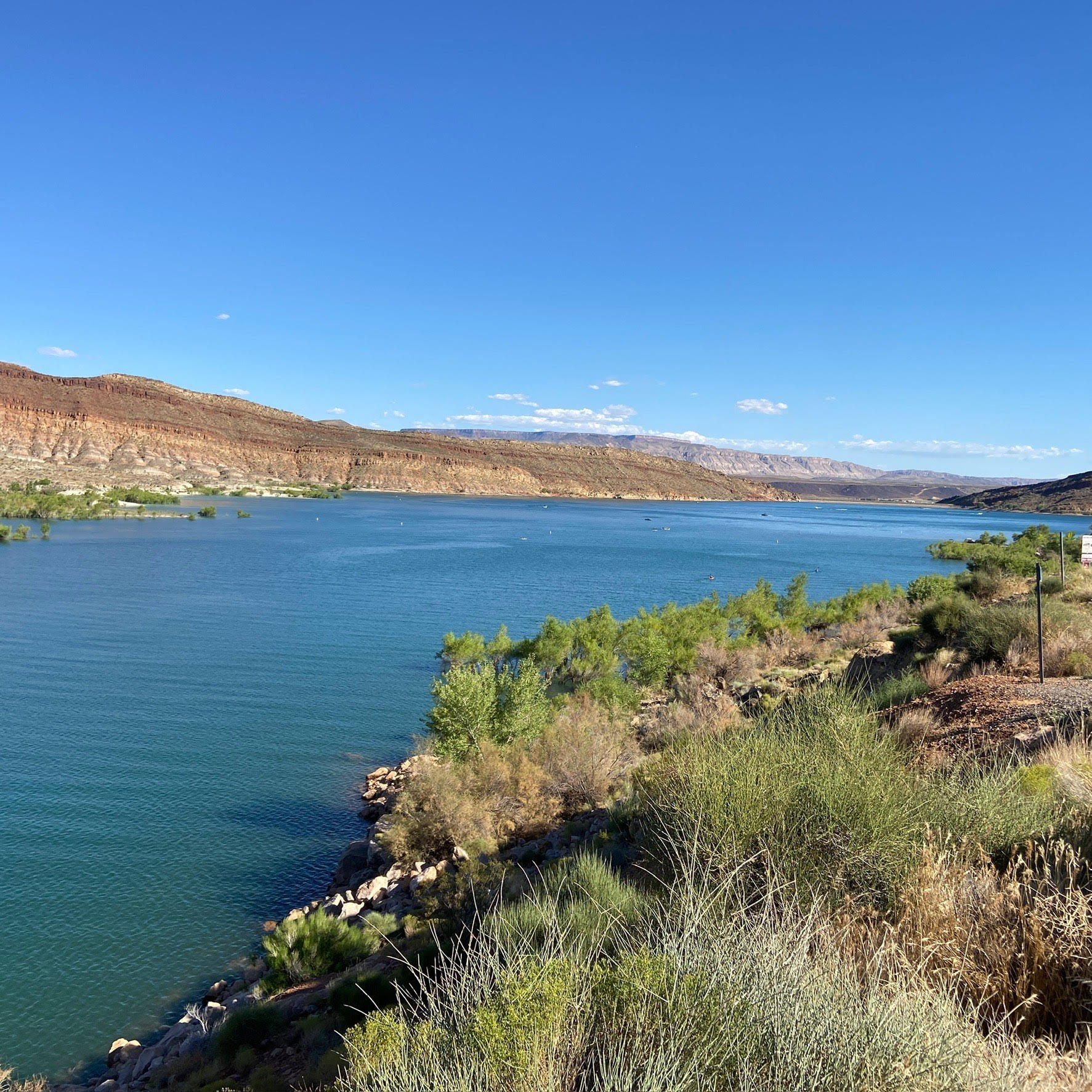 An image of a lake on a sunny day with foliage in the distance.