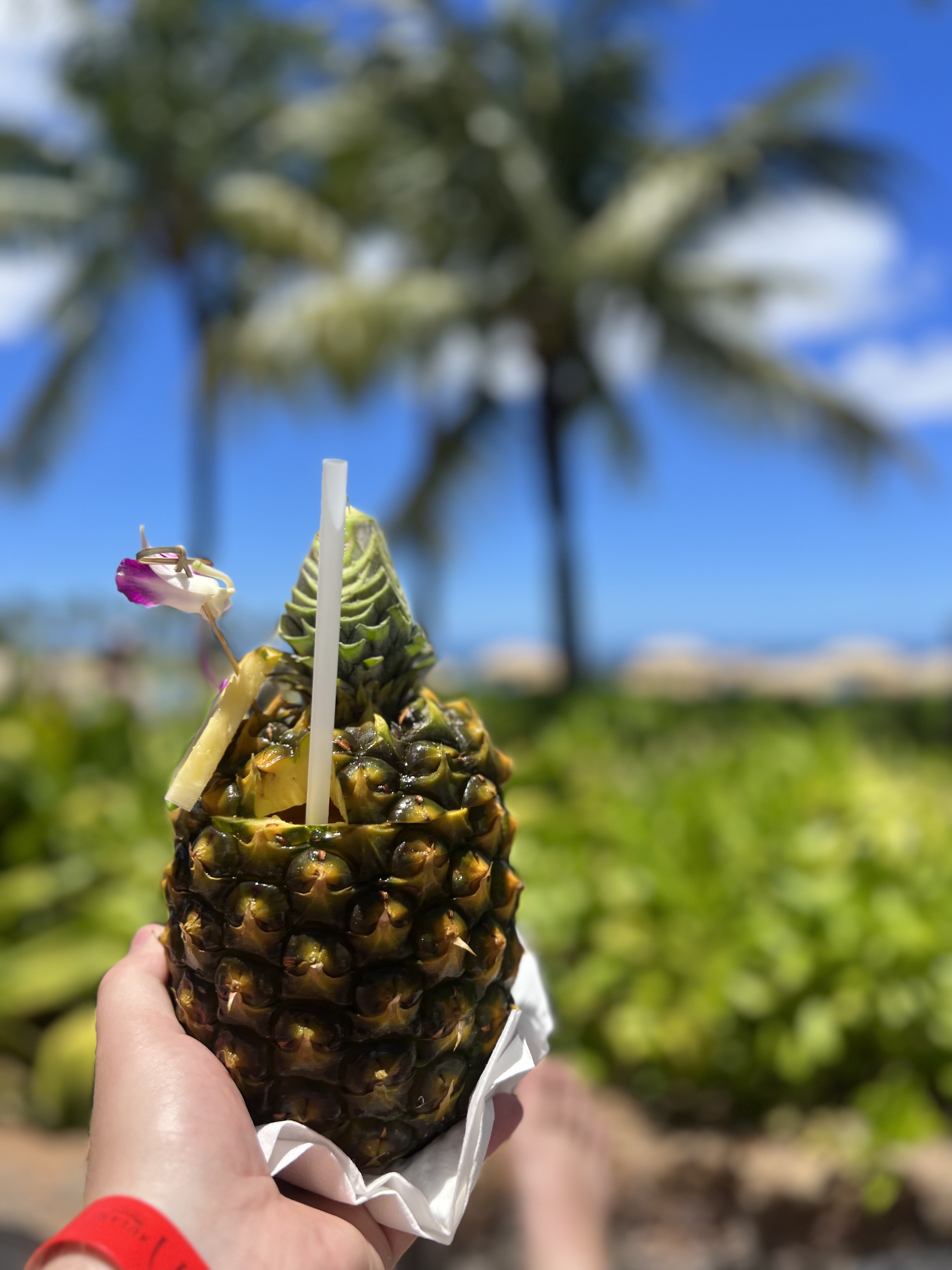 Image of a person holding a pineapple with a straw.