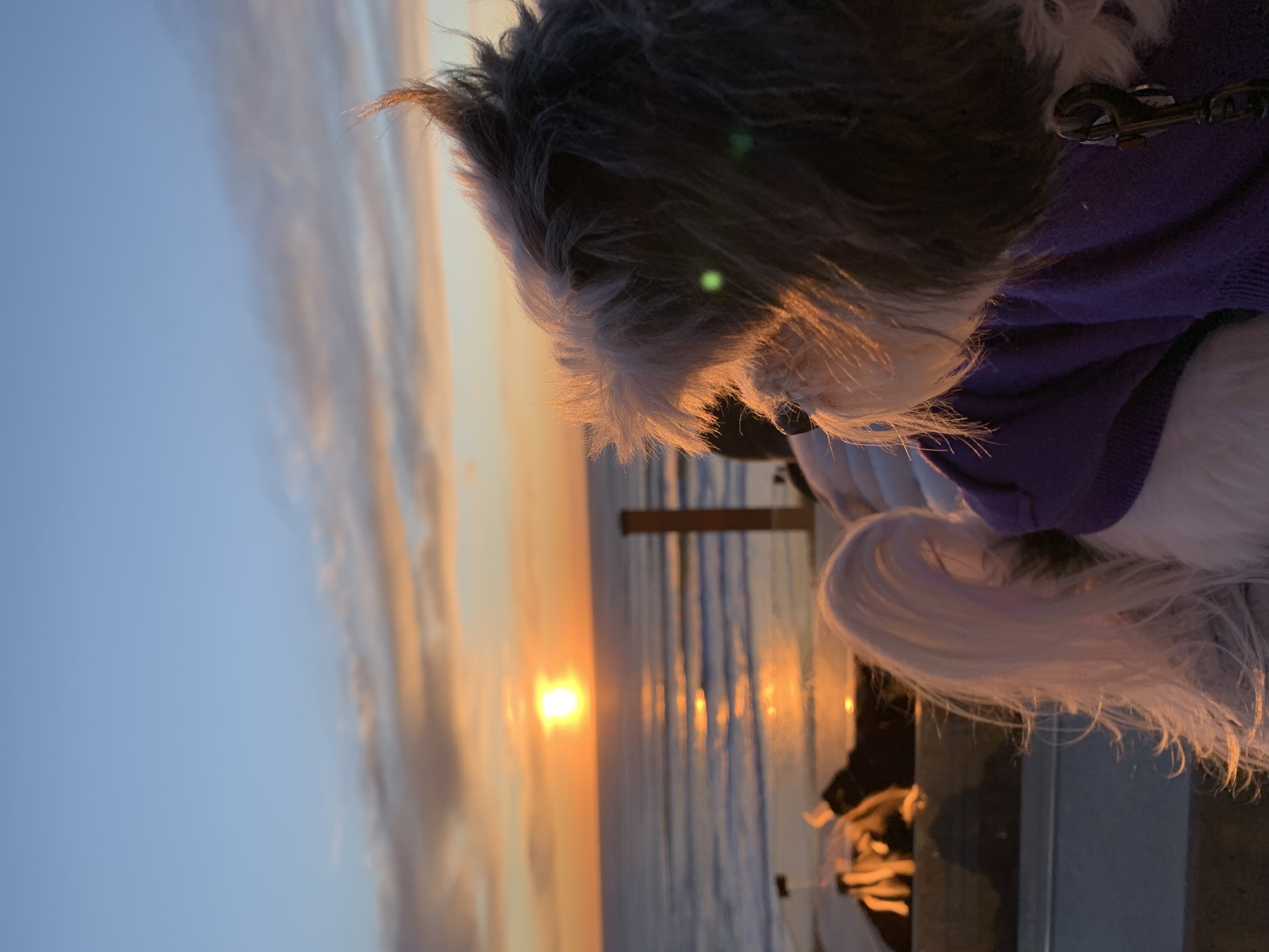 A view of a sunset and a the ocean at dusk.