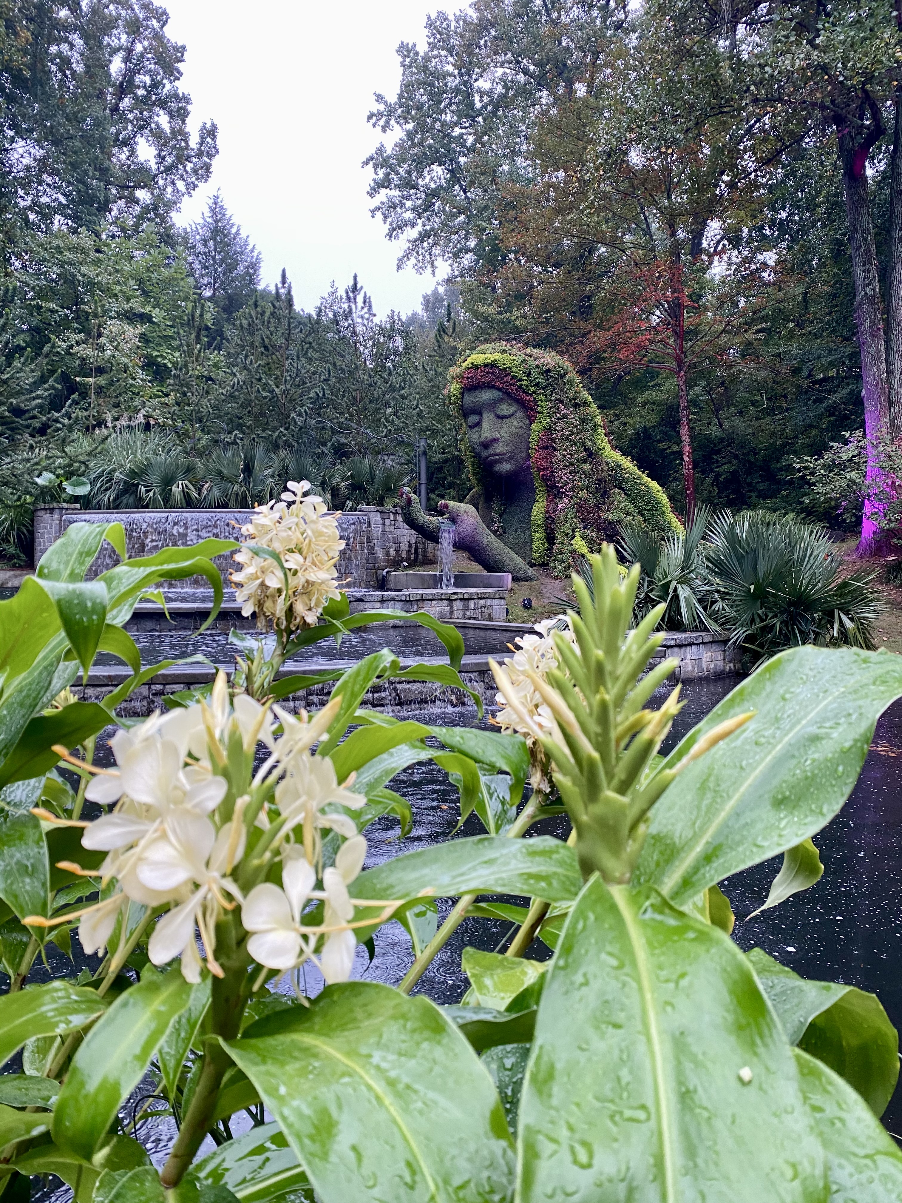 Image of a beautiful flowering plant in a park on a cloudy day