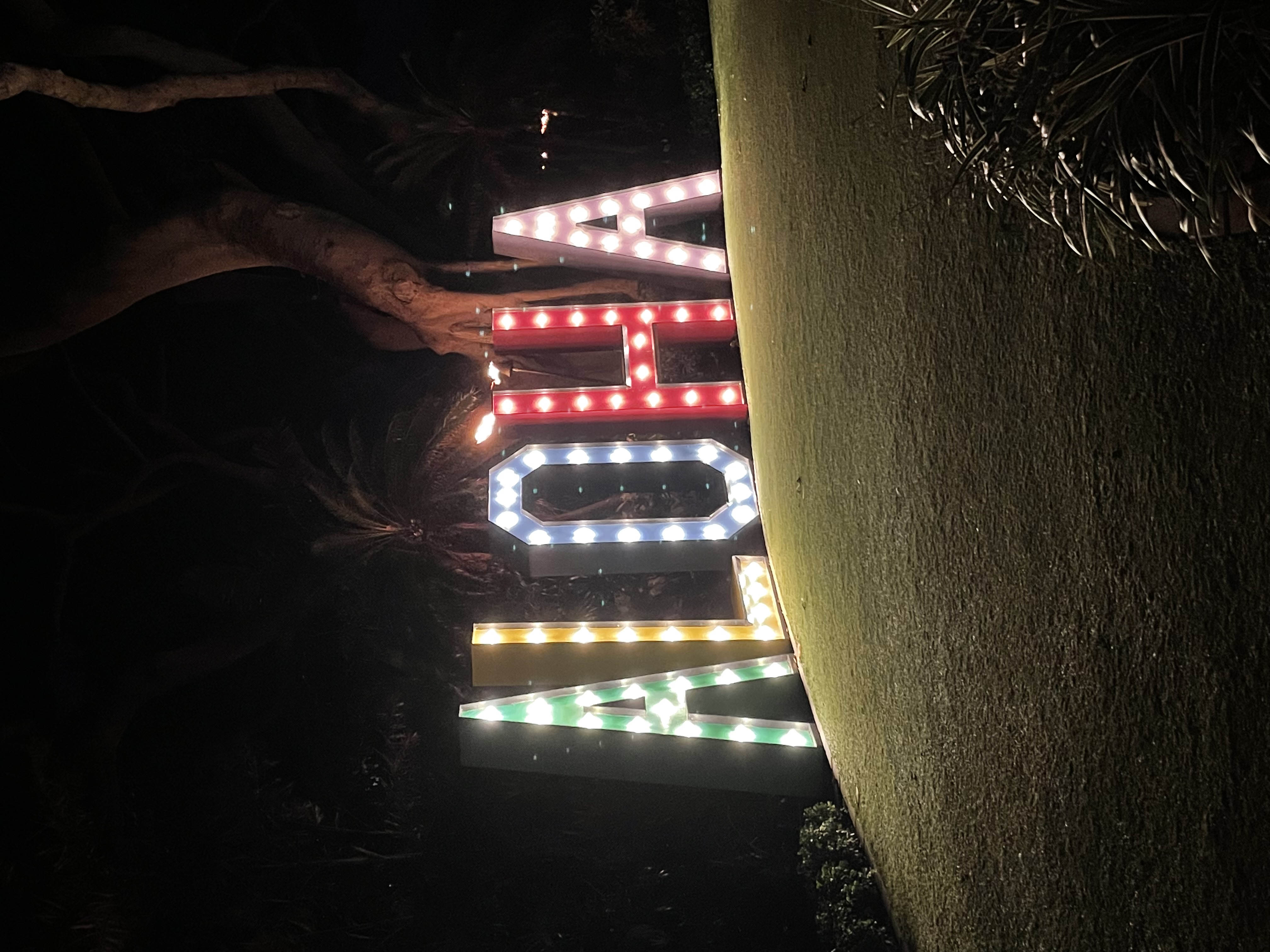 A sign that says 'Aloha' lit up at night surrounded by palm trees.