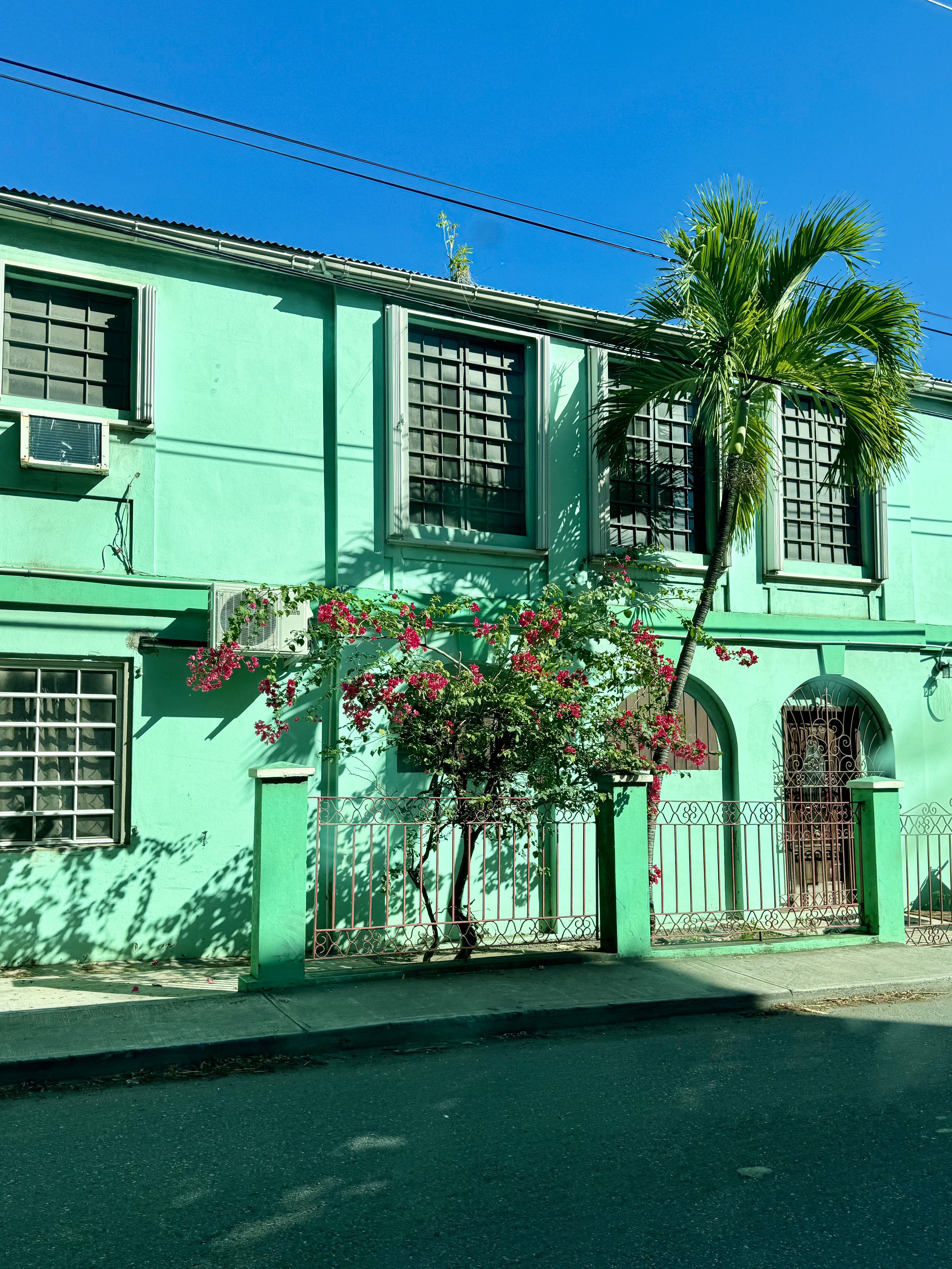 A bright green building with palm trees on a sunny day.