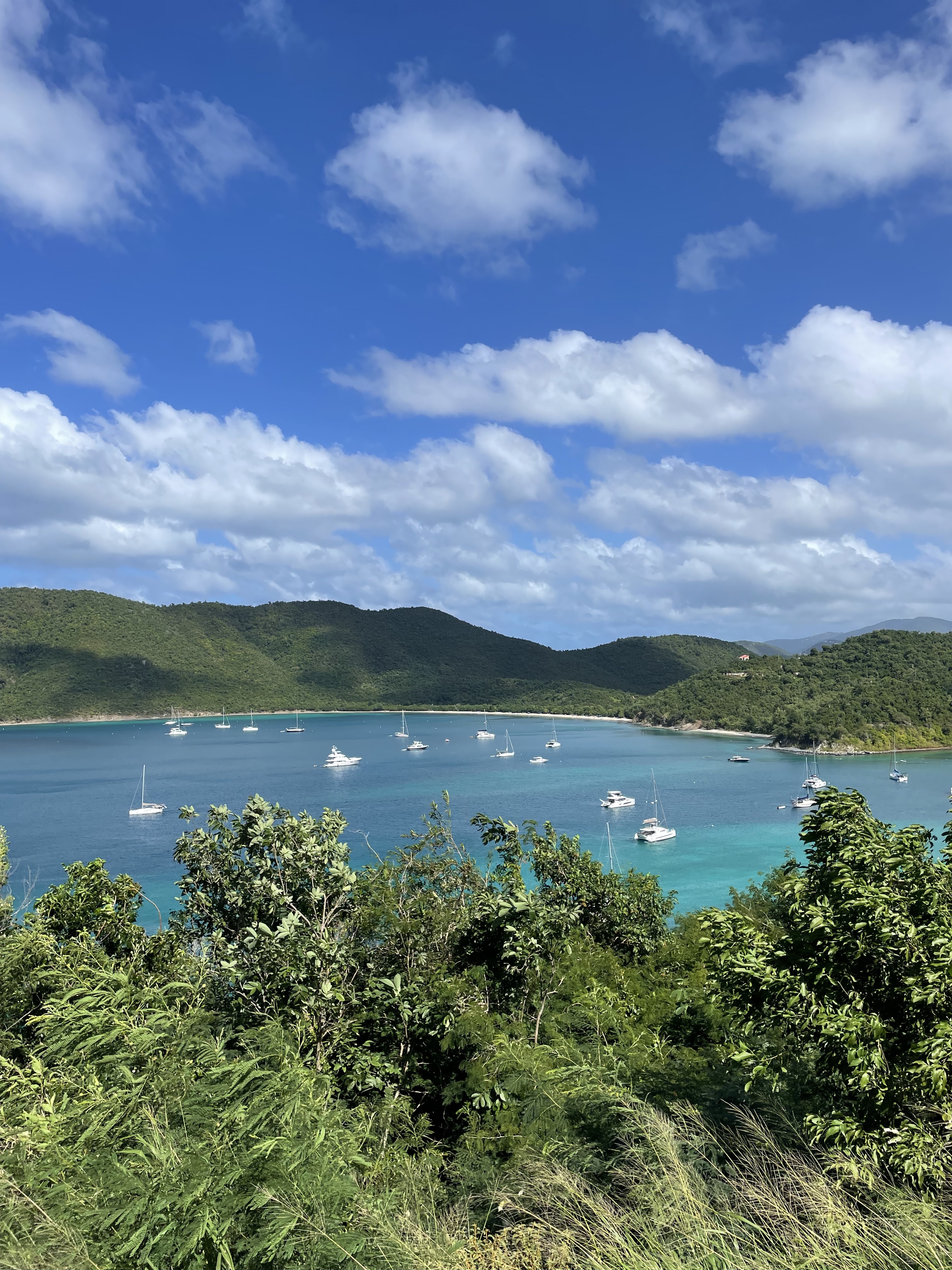 Crystal-clear waters lap the shore surrounded by lush foliage on a sunny day.