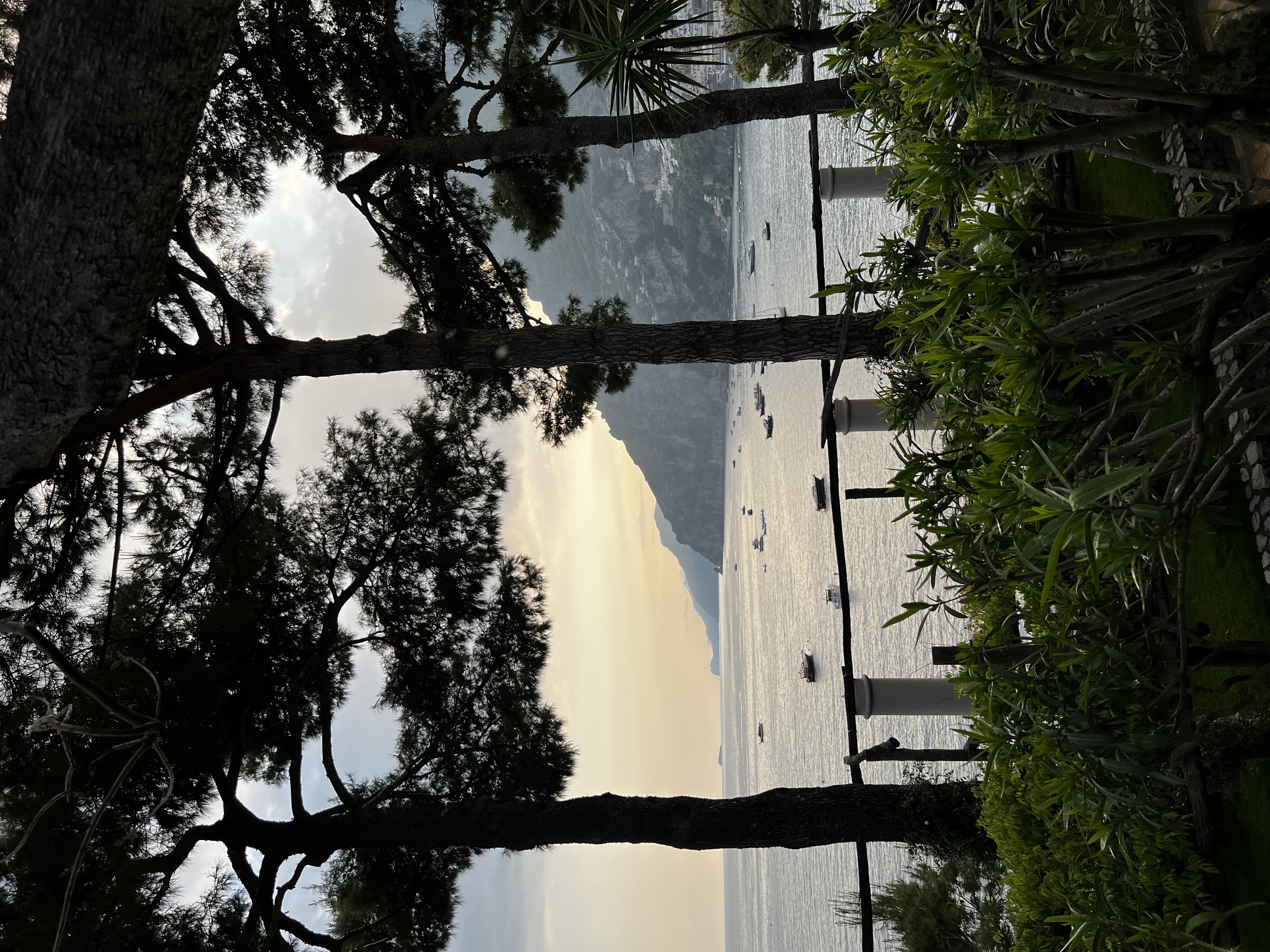 View of the sea with small boats offshore with trees in the foreground at sunset
