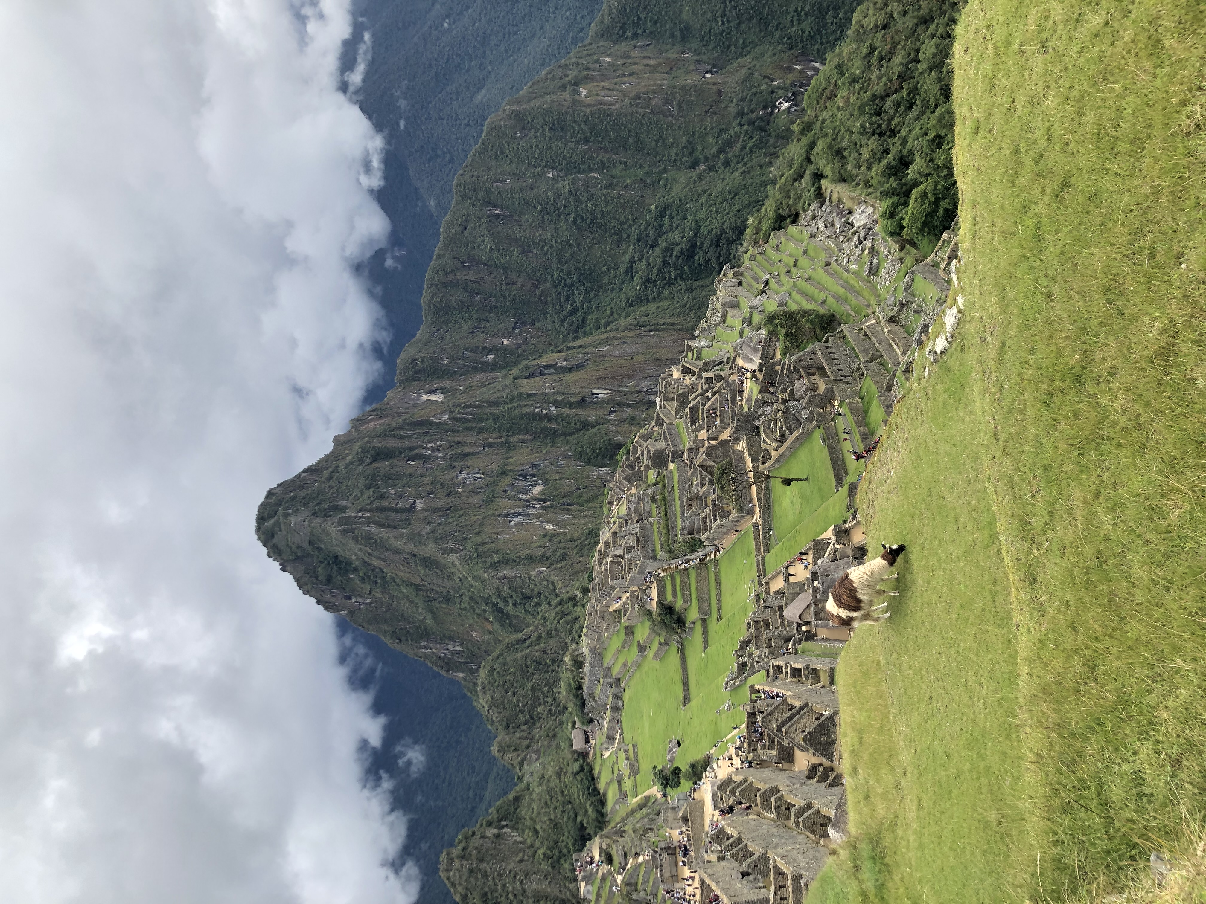 View of the Machu Pichu ruins in lush greens surroundings on a cloudy day