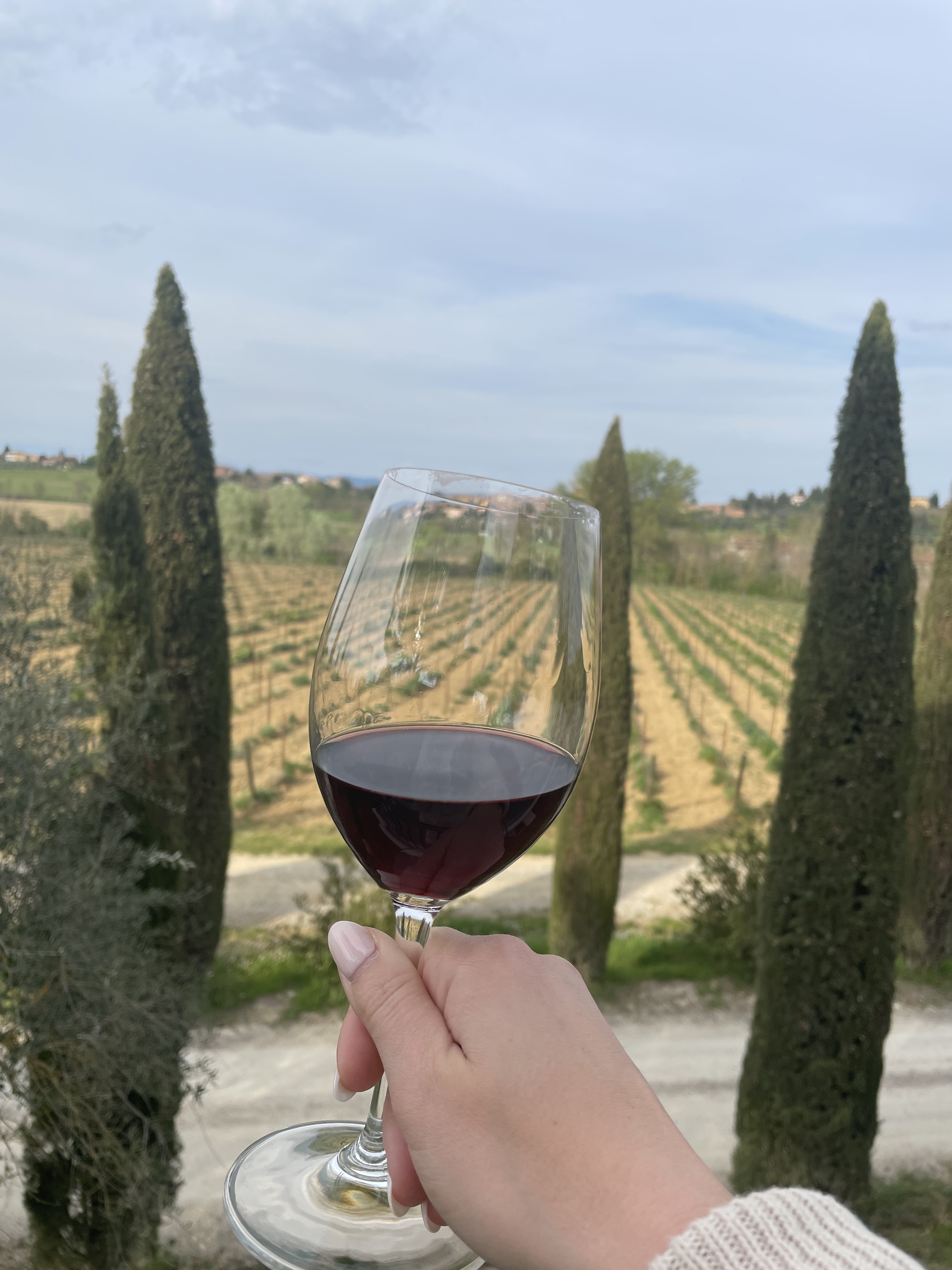 View of a hand holding a glass of red wine overlooking a vineyard on a sunny day