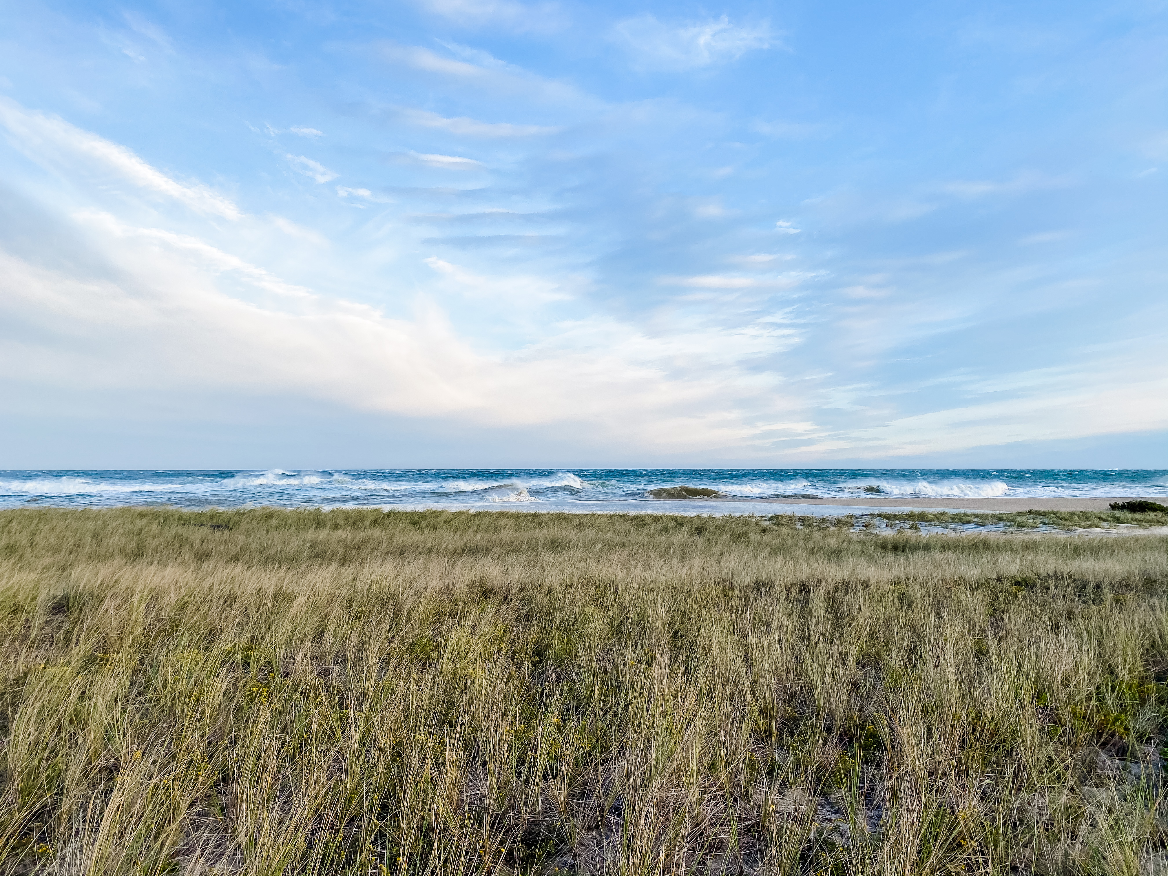 View of an empty grass field leading to the sea on a sunny day
