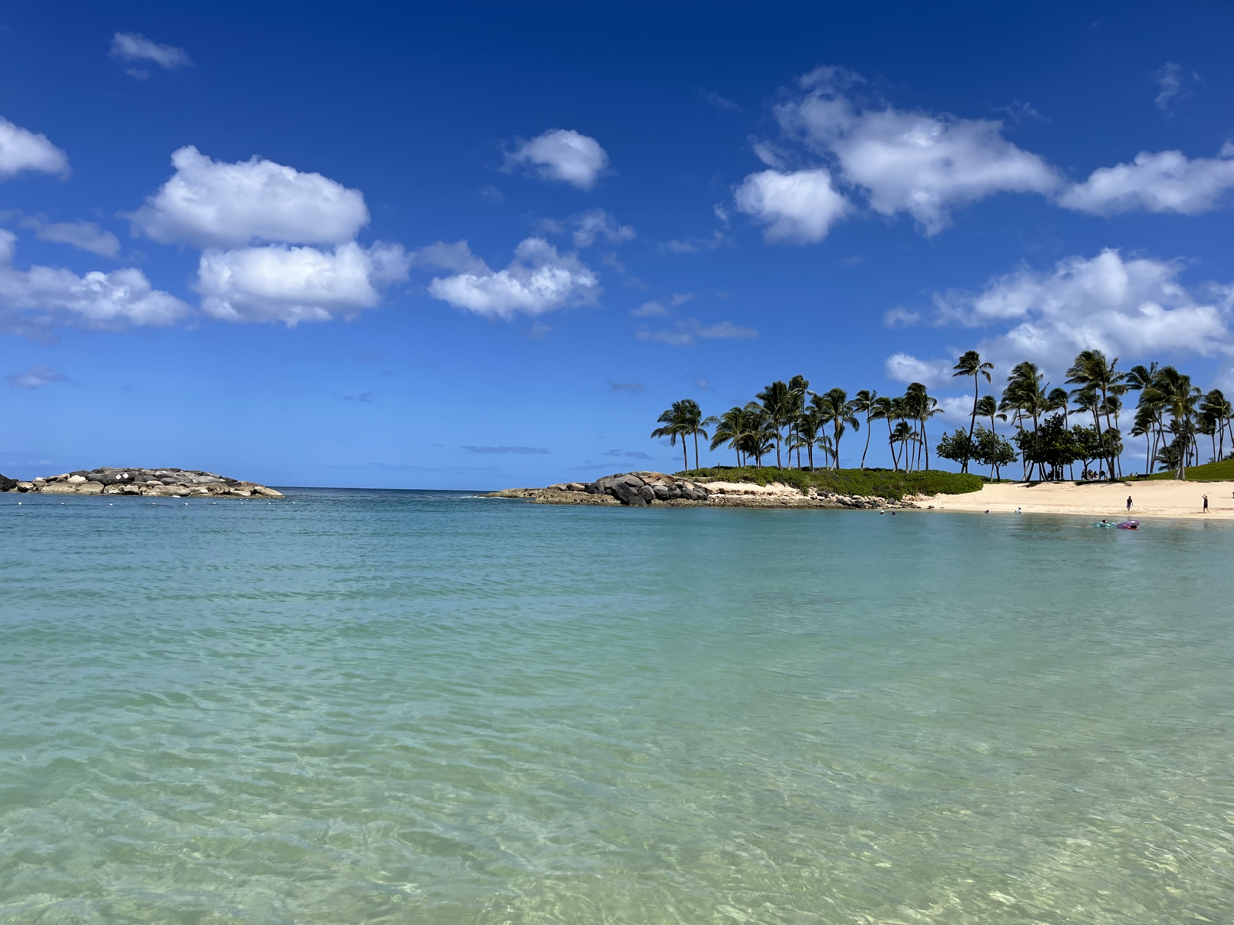 View of a crystal clear and calm sea with bunch of palm trees on shore in the distance