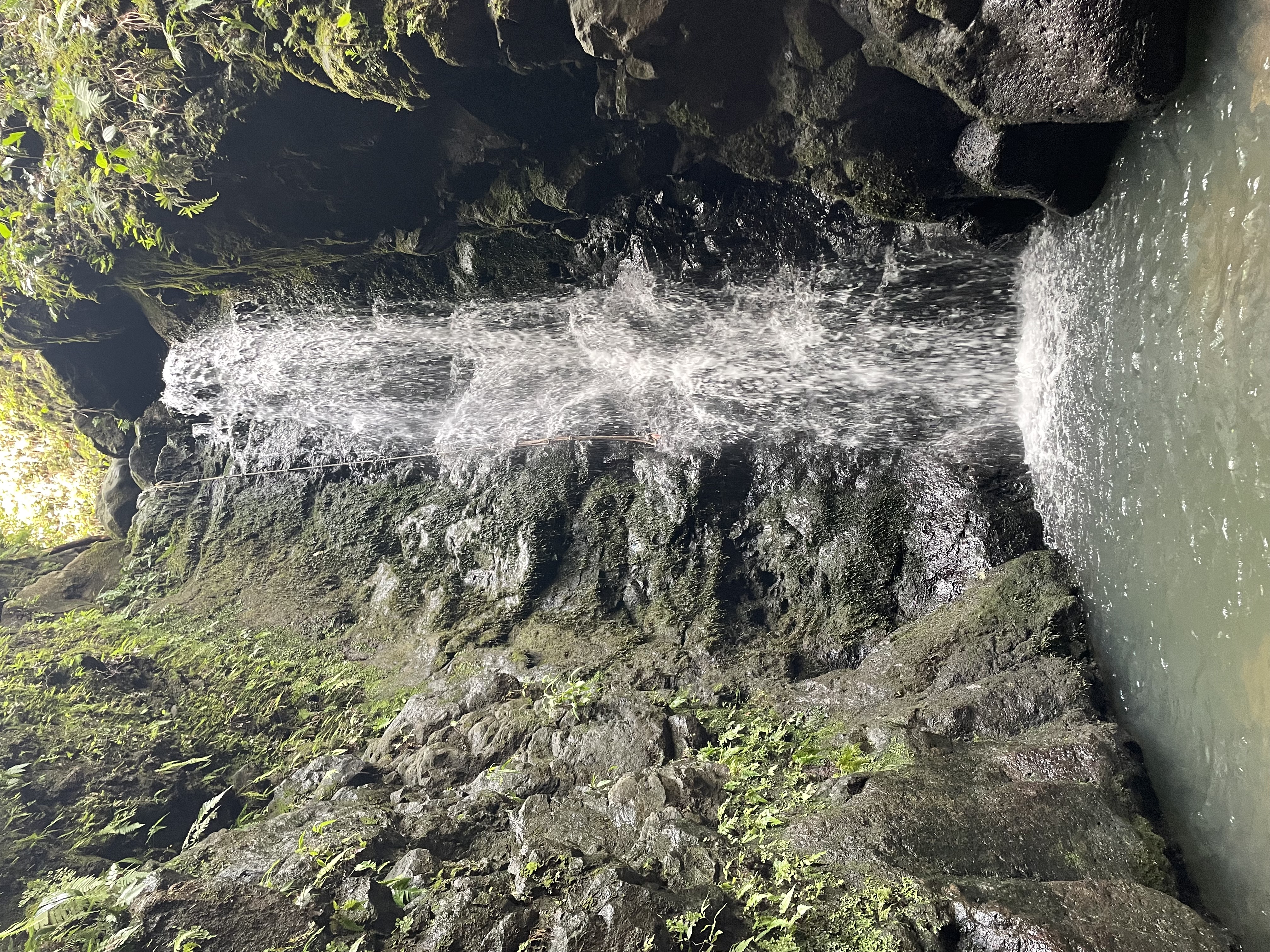 A waterfall cascading into a pool of water surrounded by foliage on a clear day.
