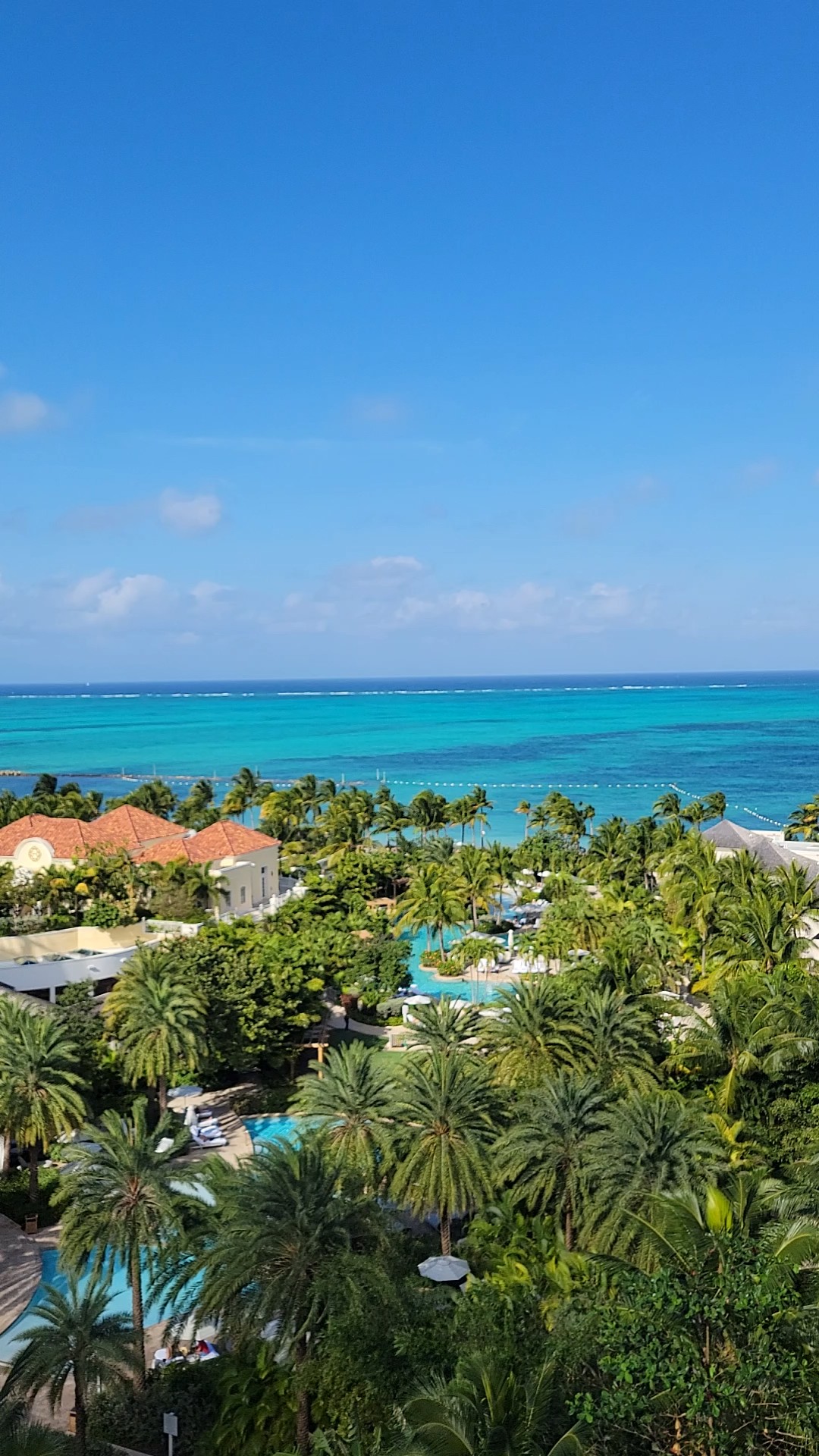 View of a leafy resort area overlooking a turquoise sea on a sunny day