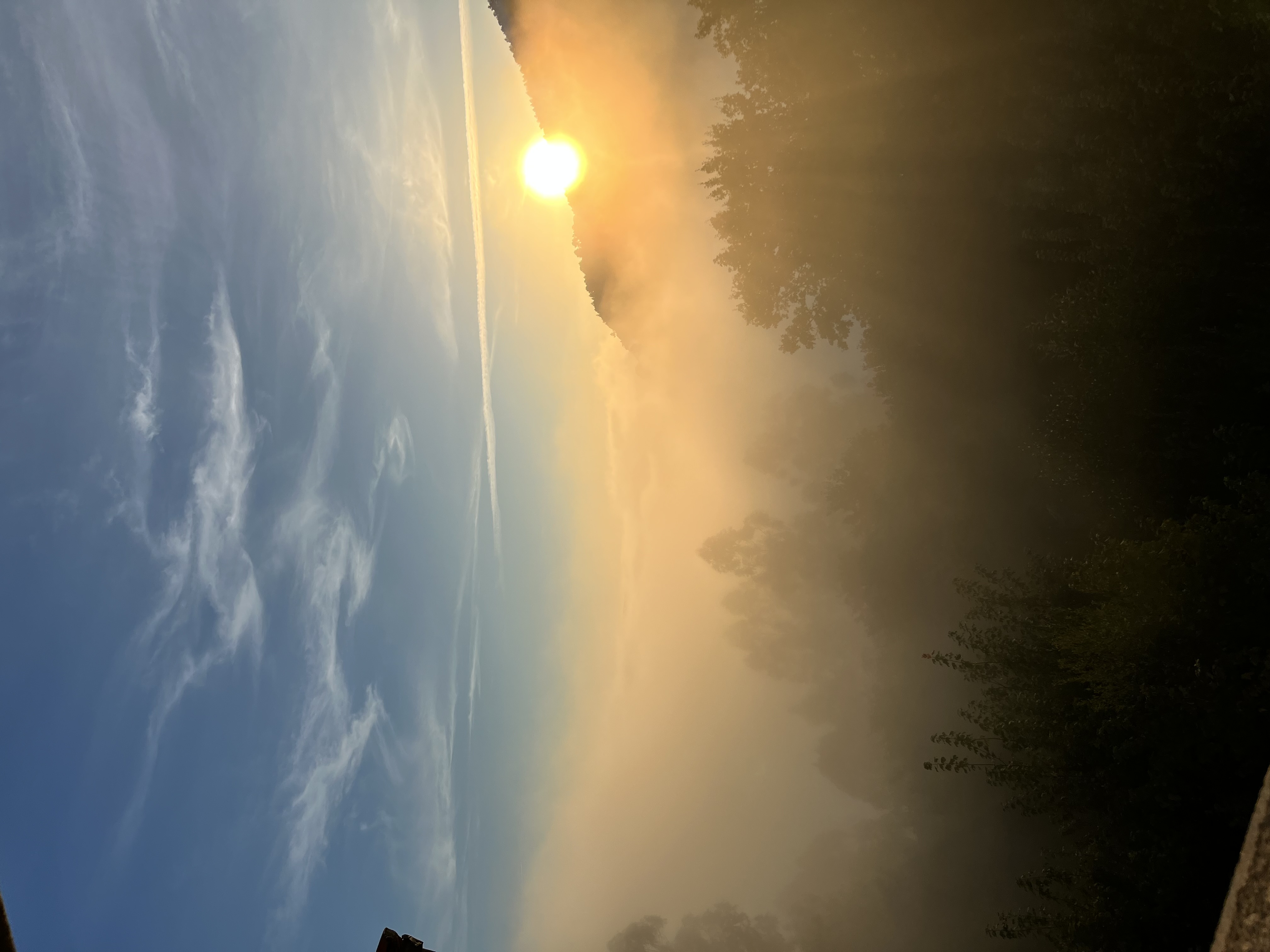 Beautiful sunrise over a misty jungle landscape
