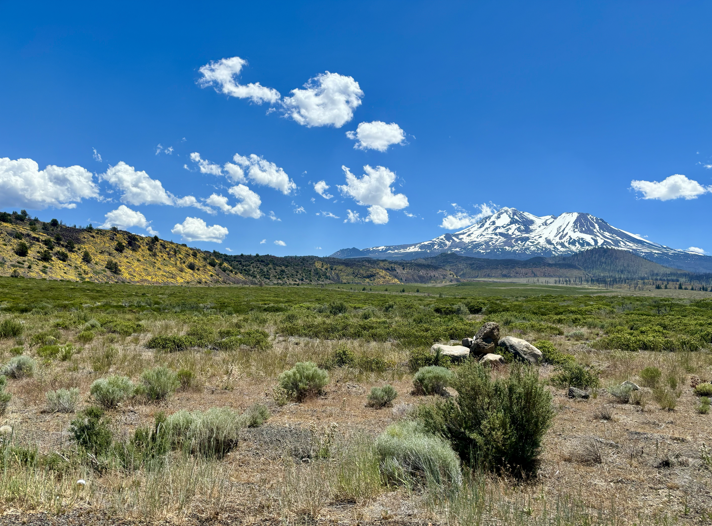Image of a large grassy valley with snowcapped mountains in the distance and a bright blue sky with scattered clouds,