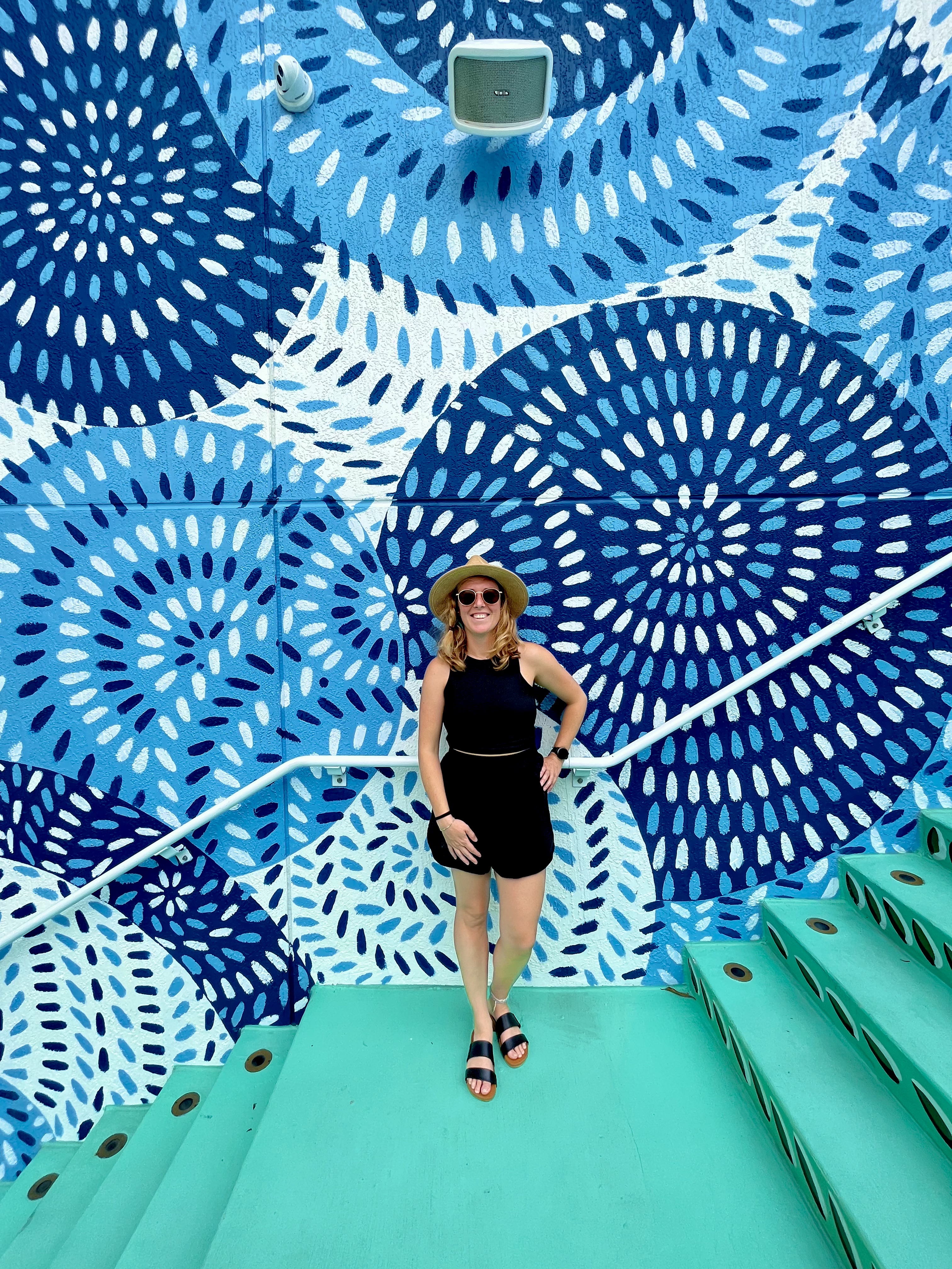 Travel Advisor - Hannah Sciarappa