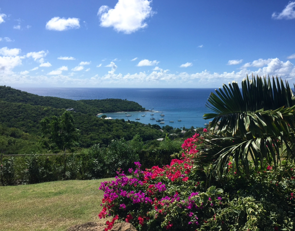 Hills by the sea.