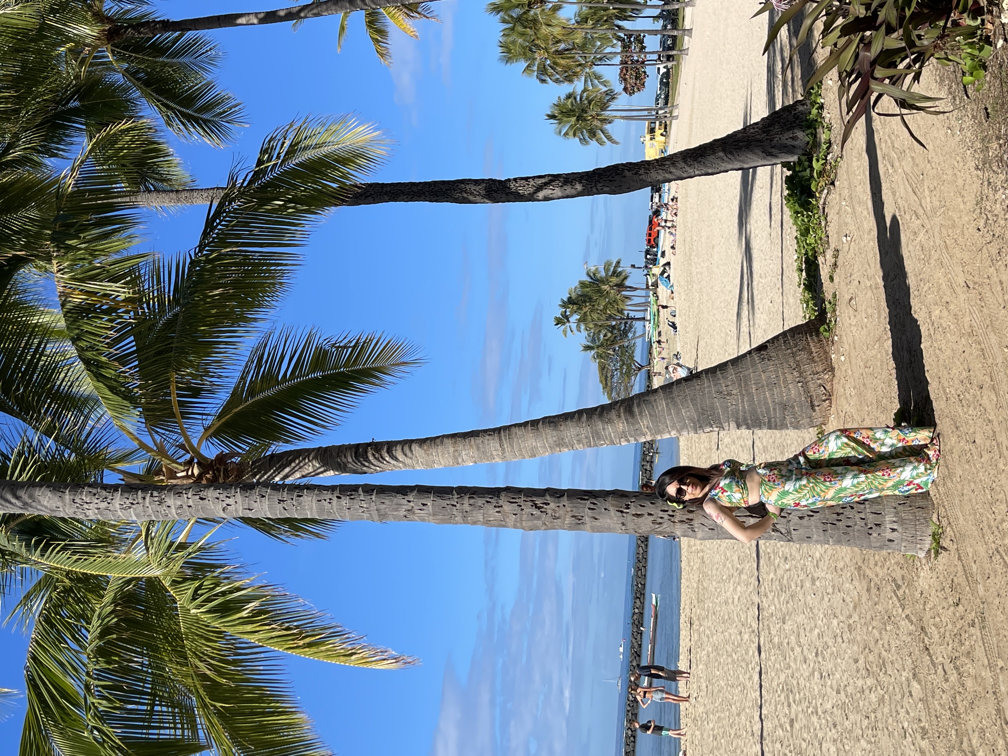 Advisor leaning against a palm tree on the beach on a sunny day
