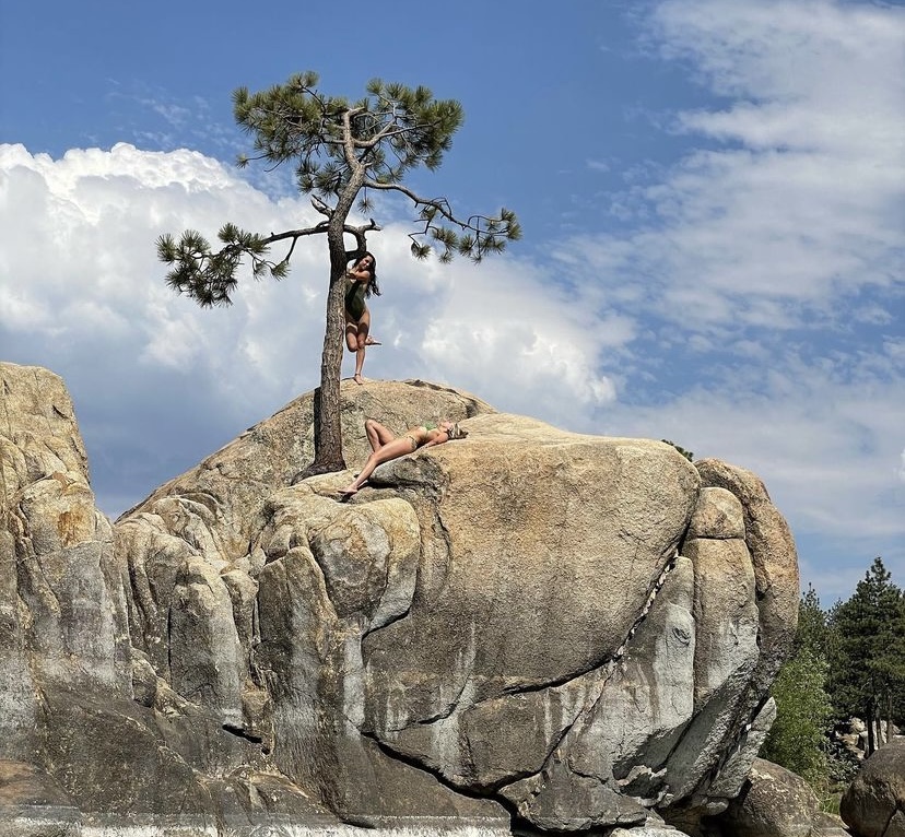 Tree on rocks.
