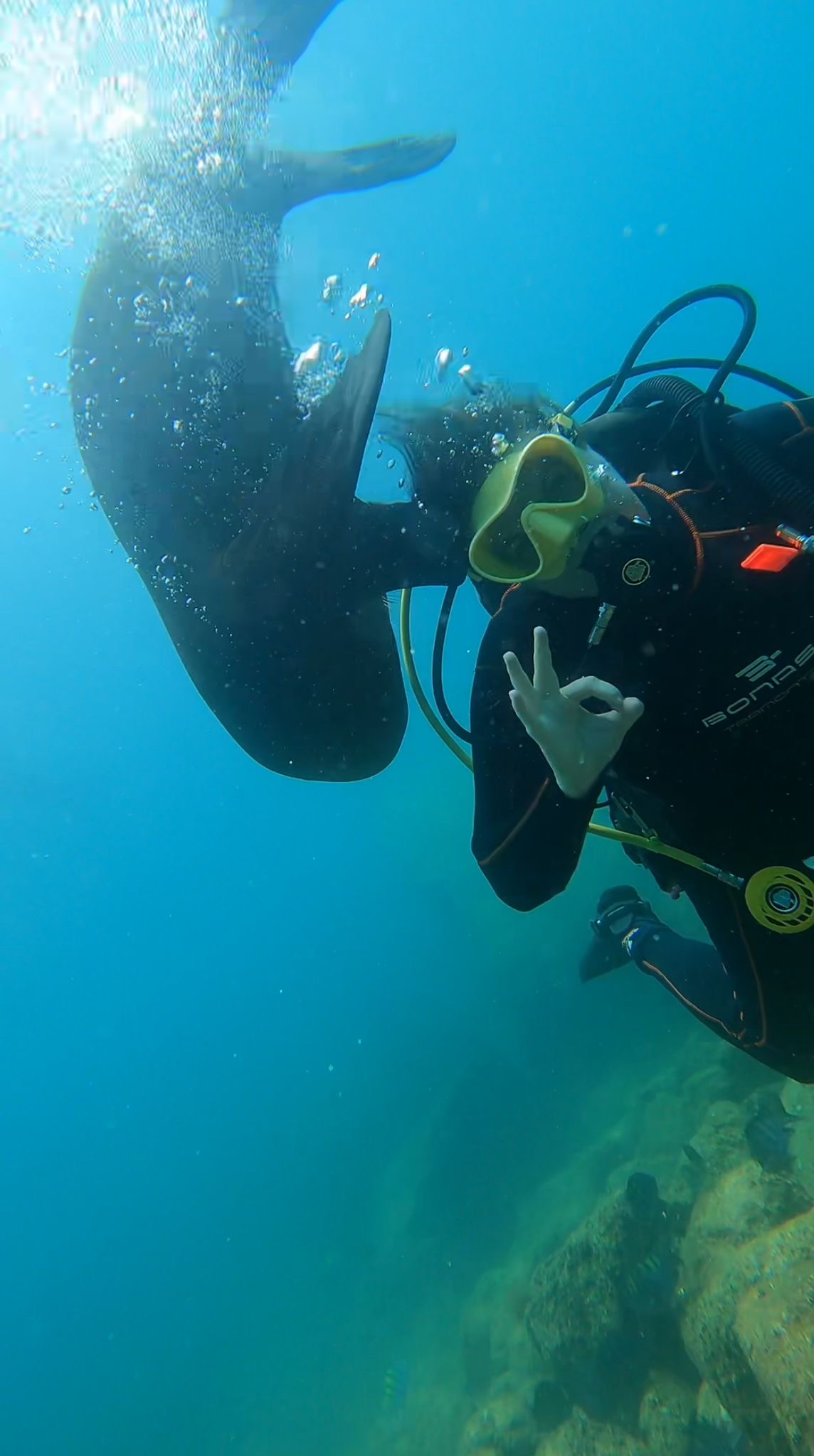 Advisor - Meaghan Wells