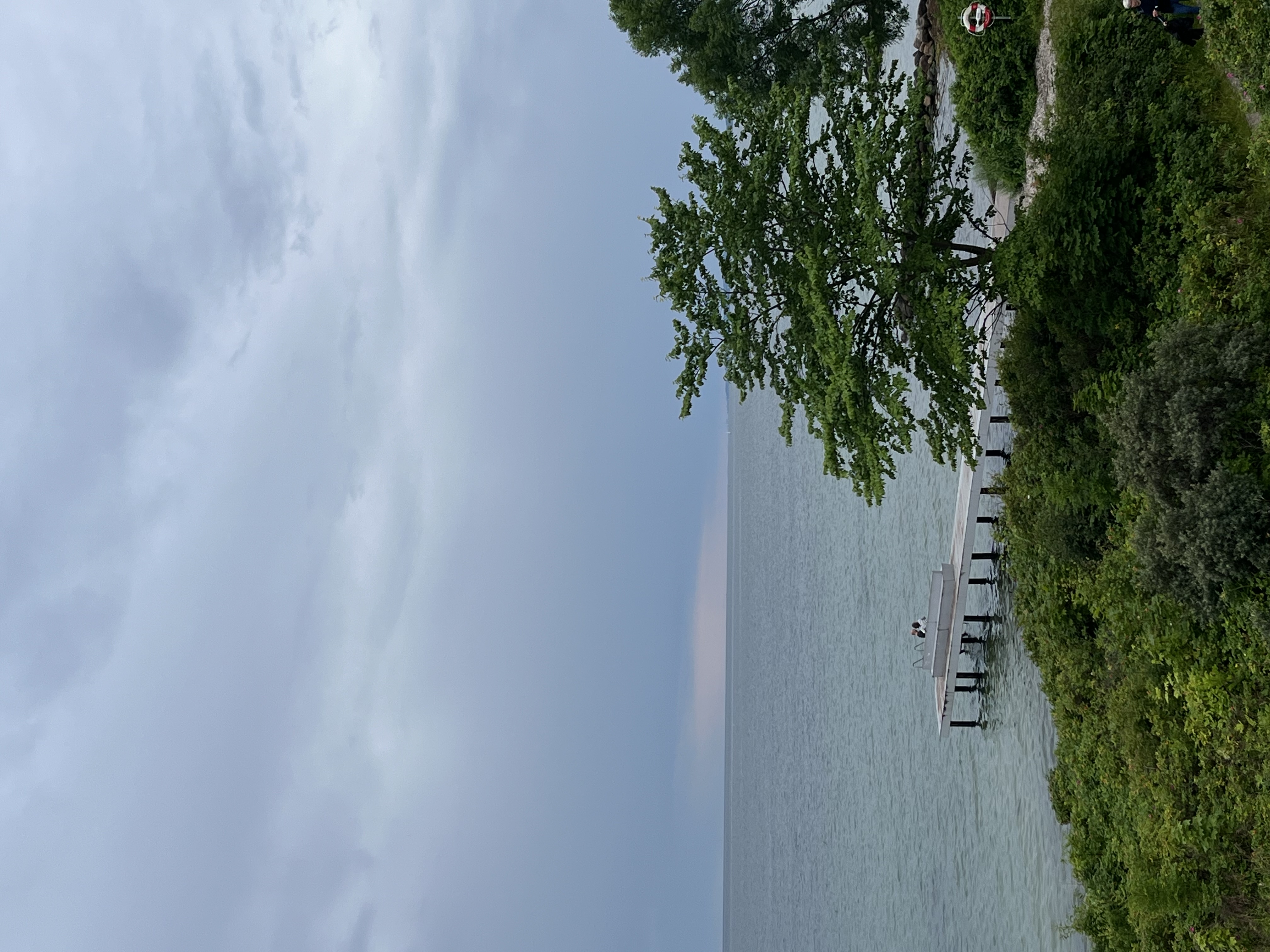 Trees along a coastline with a moody, stormy sky behind.