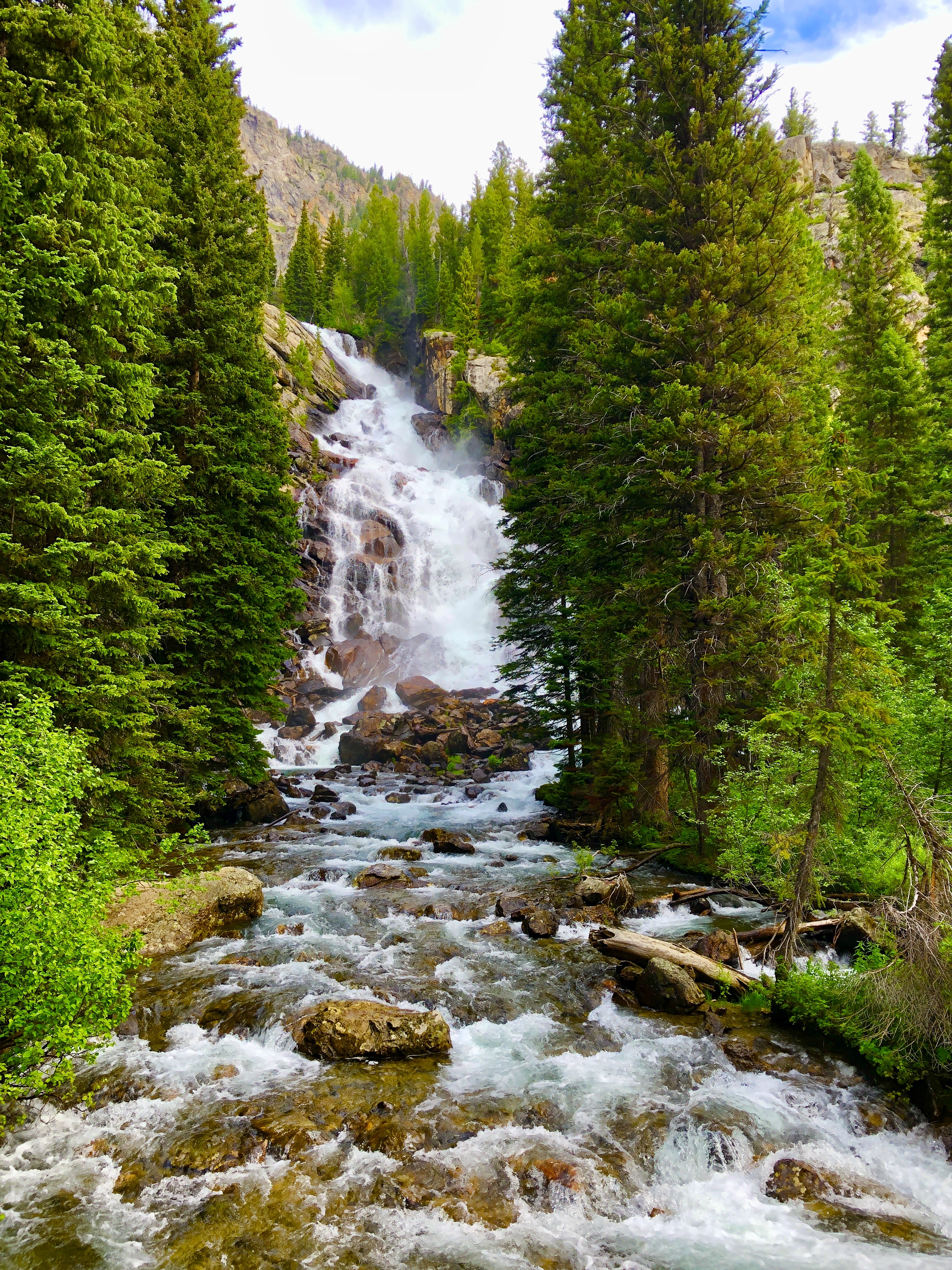 Grand tetons.