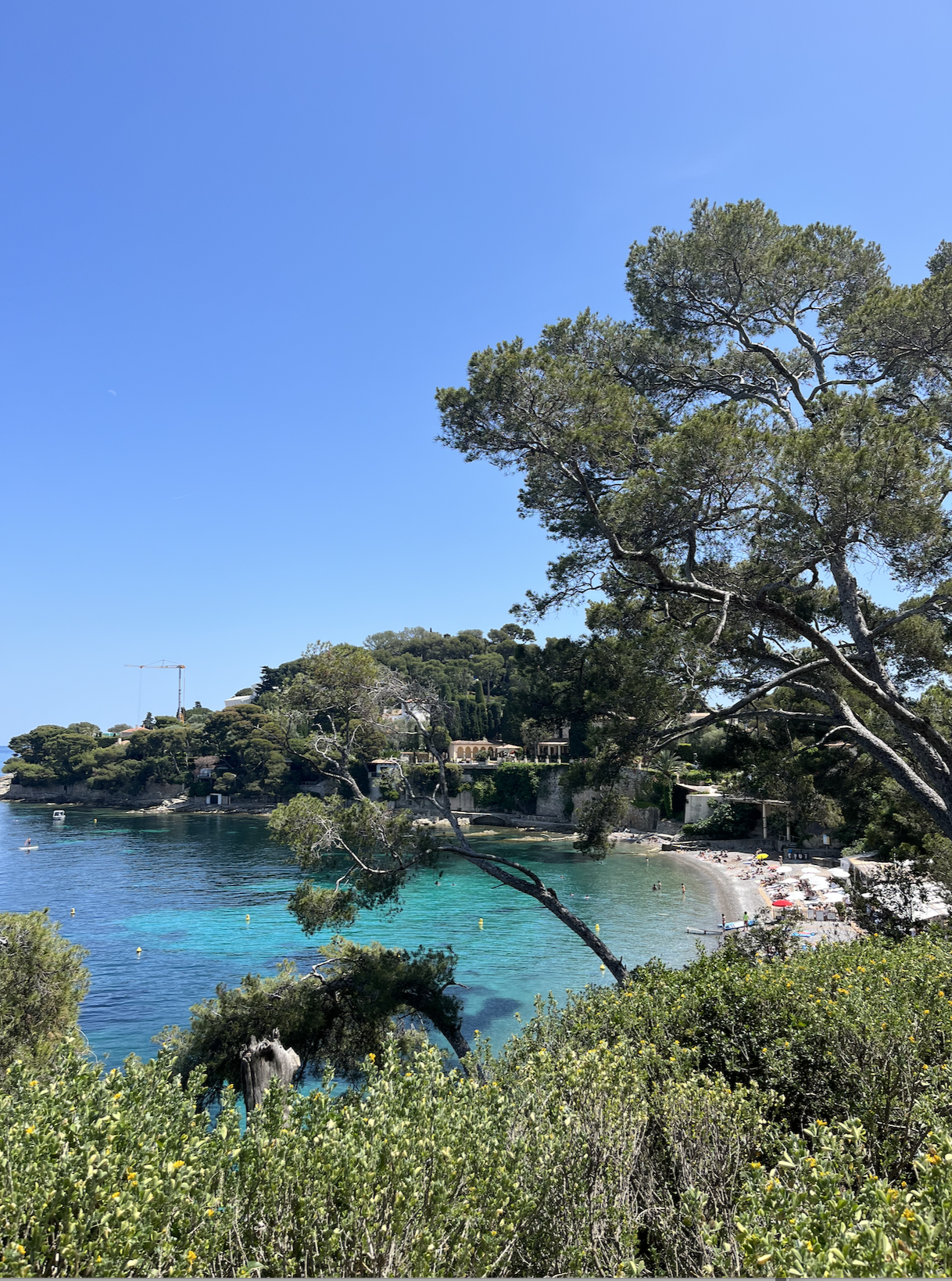 A view of the ocean with foliage in the distance on a sunny day.