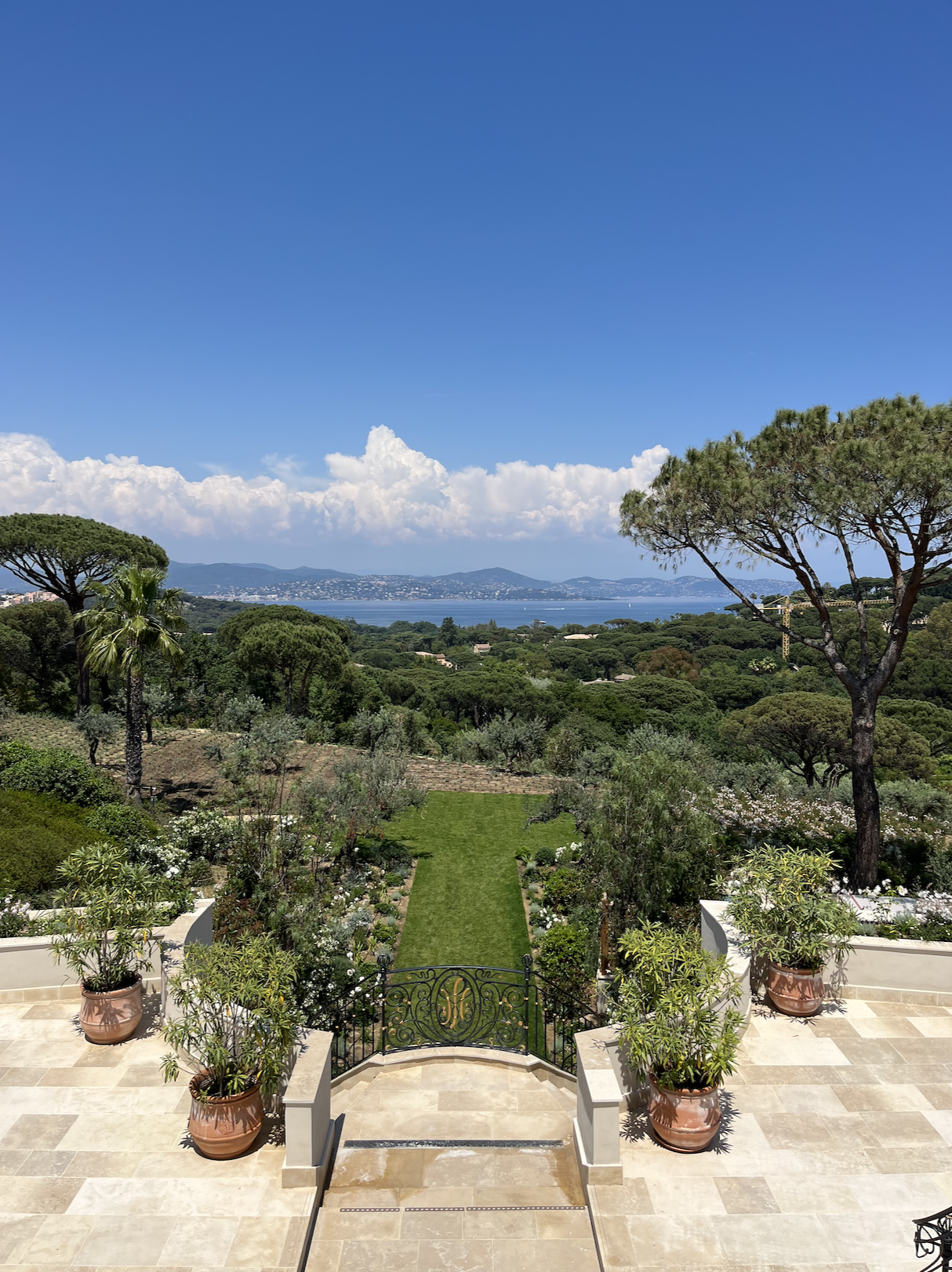 A view of a beautiful garden with foliage and mountains in the distance.