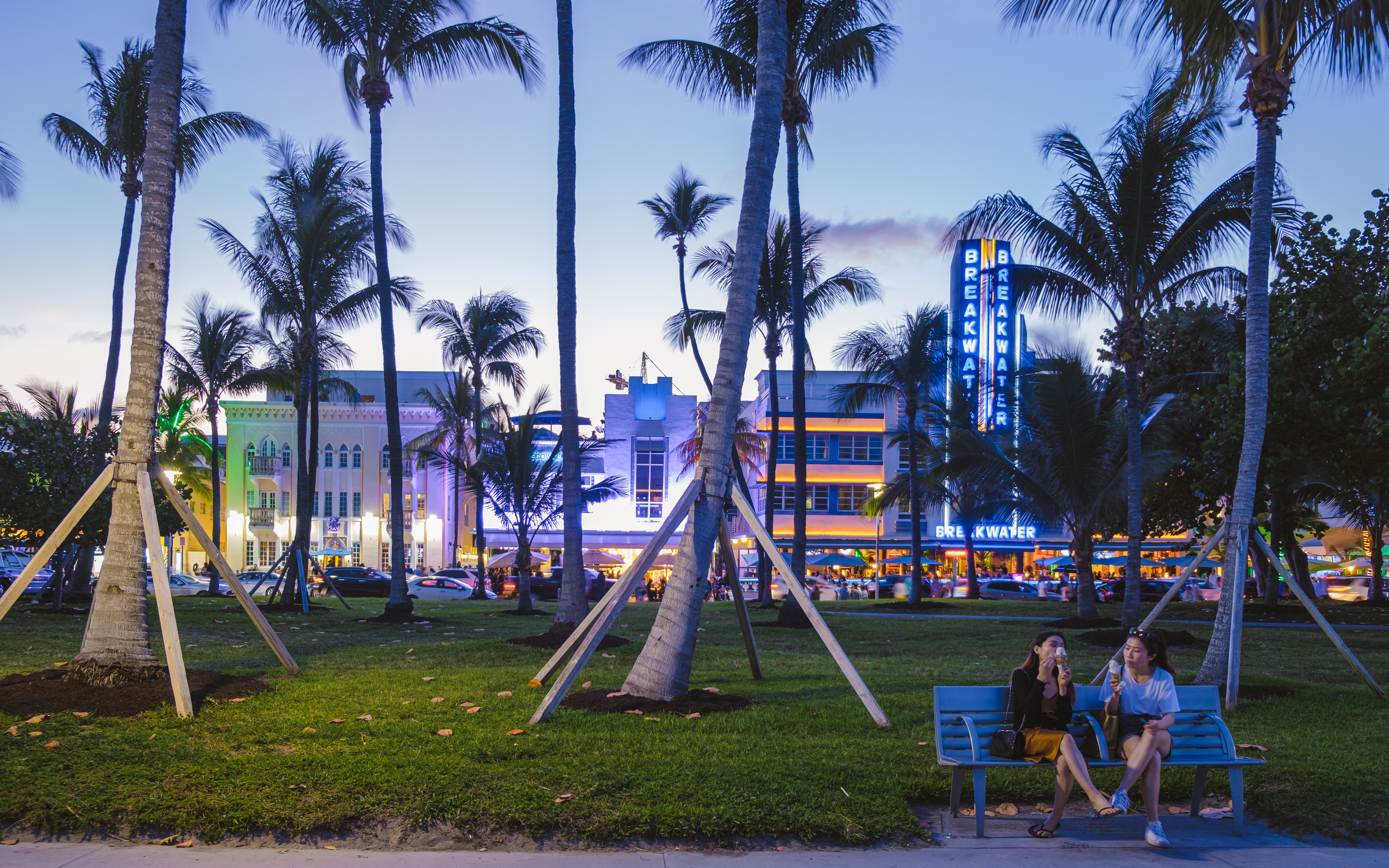 Palm trees reach for the sky as dusk settles in on a clear day.