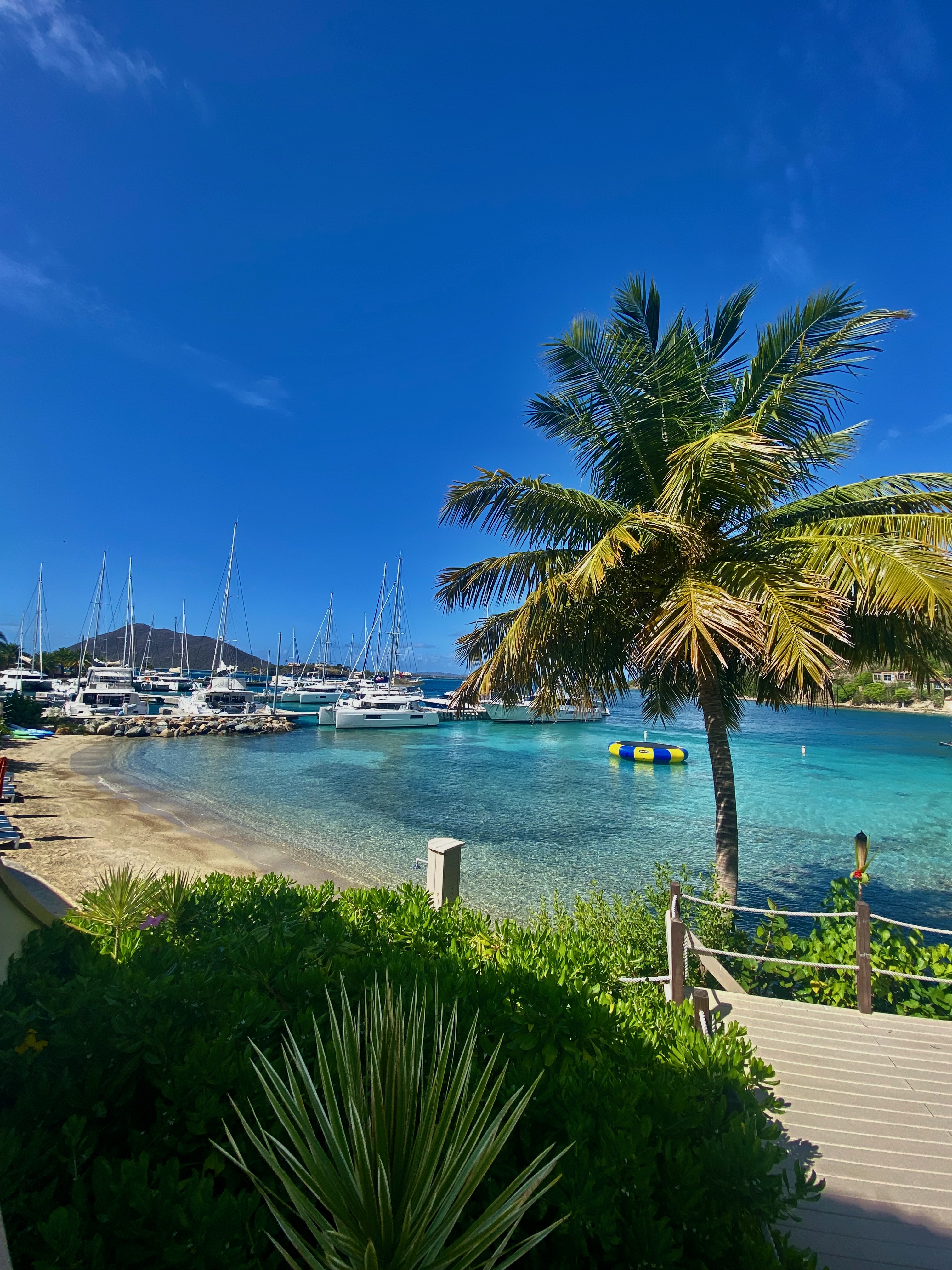 A view of the beach with palm trees in the distance.